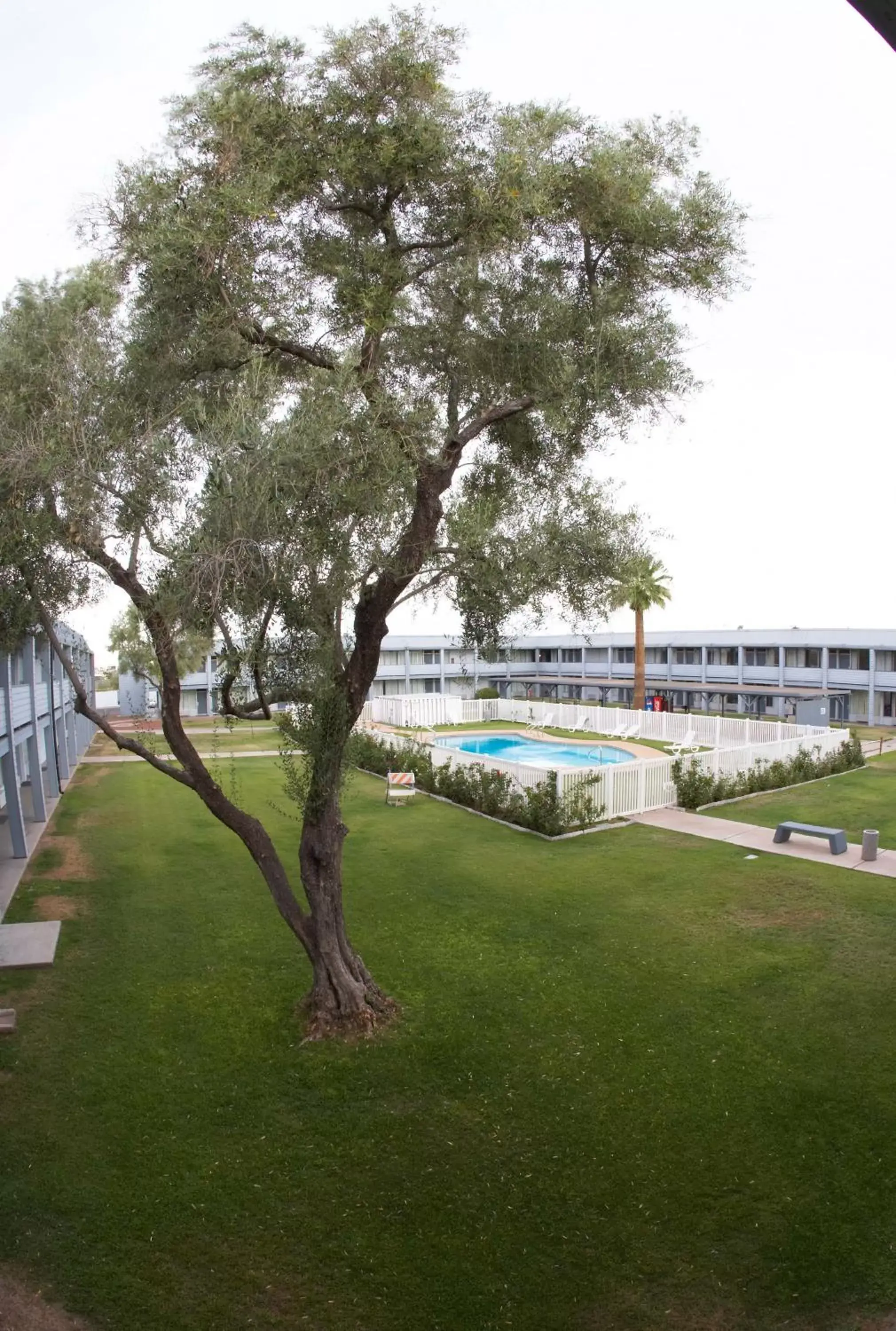 Swimming pool in EZ 8 Motel Airporter Swimming pool in EZ 8 Motel Airporter