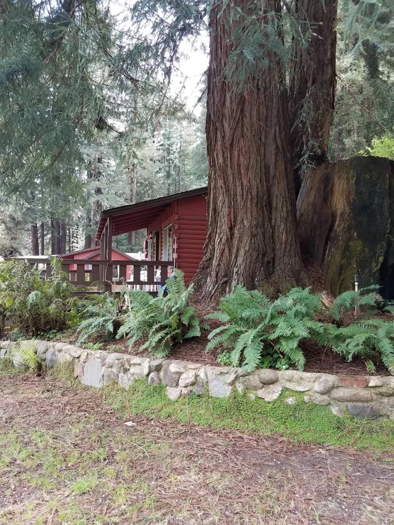 Property Building in Fern River Resort