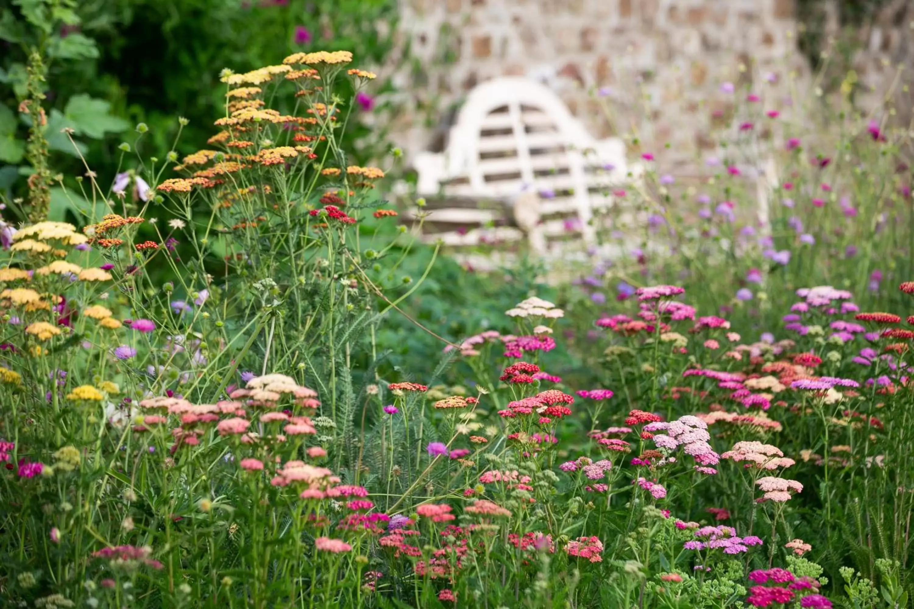 Garden, Property Building in Grove of Narberth