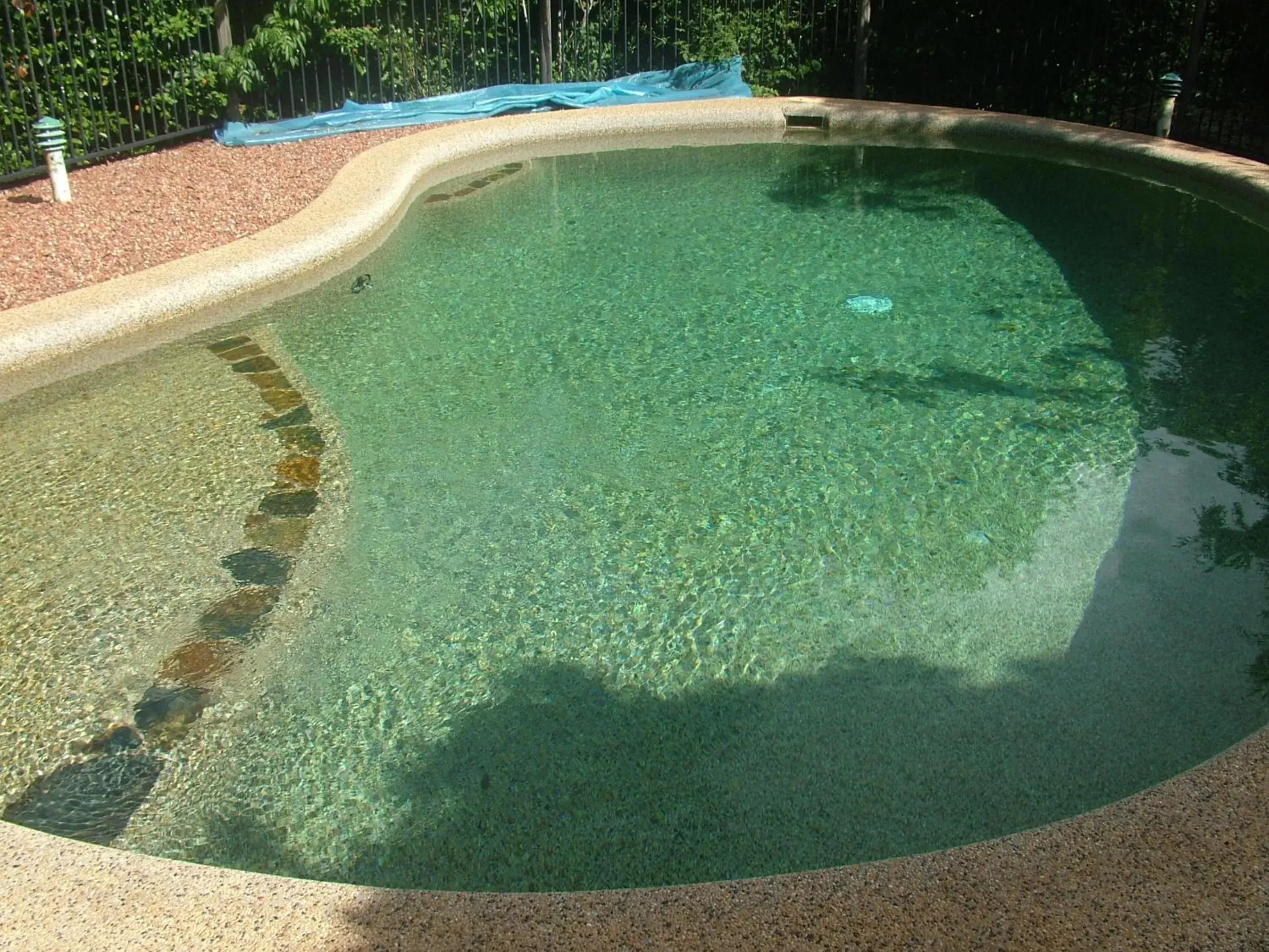 Swimming Pool in Atherton Blue Gum B&B