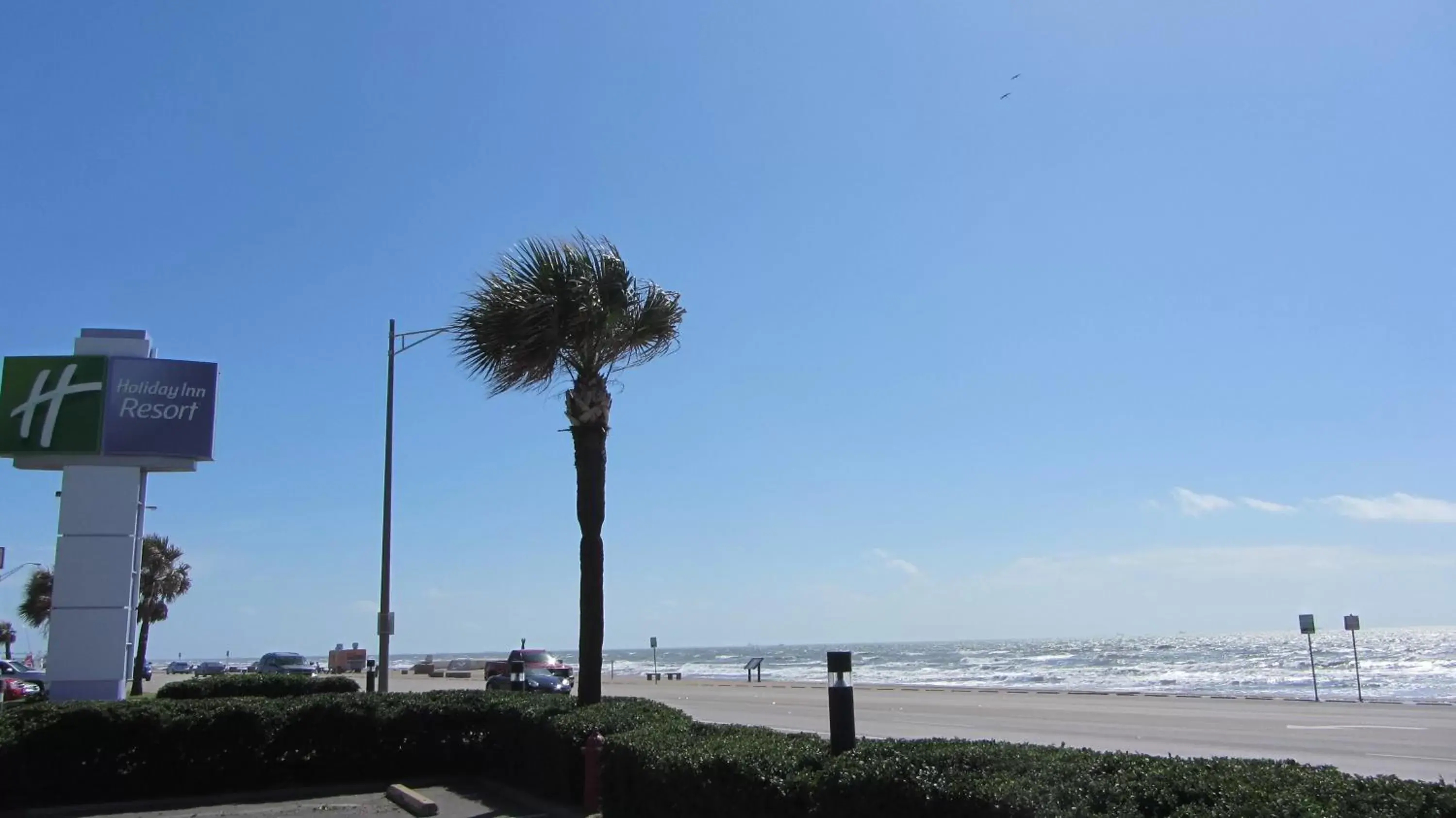 View (from property/room) in Holiday Inn Resort Galveston - On The Beach, an IHG Hotel