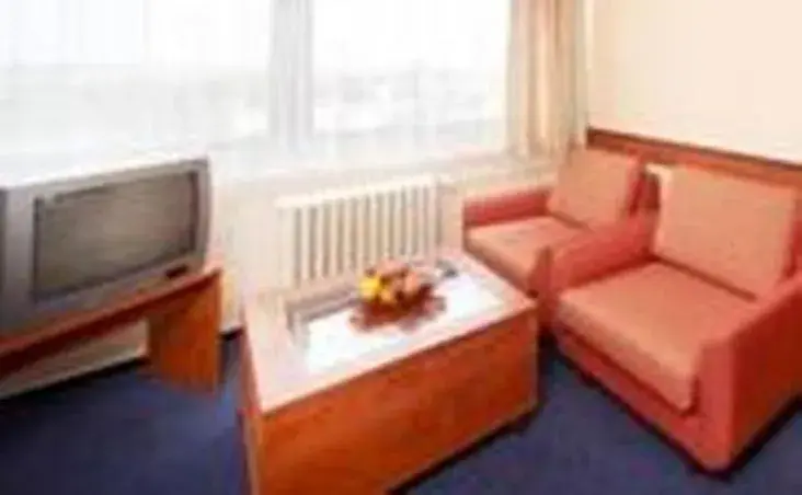 TV and multimedia, Seating Area in Hotel Cernigov