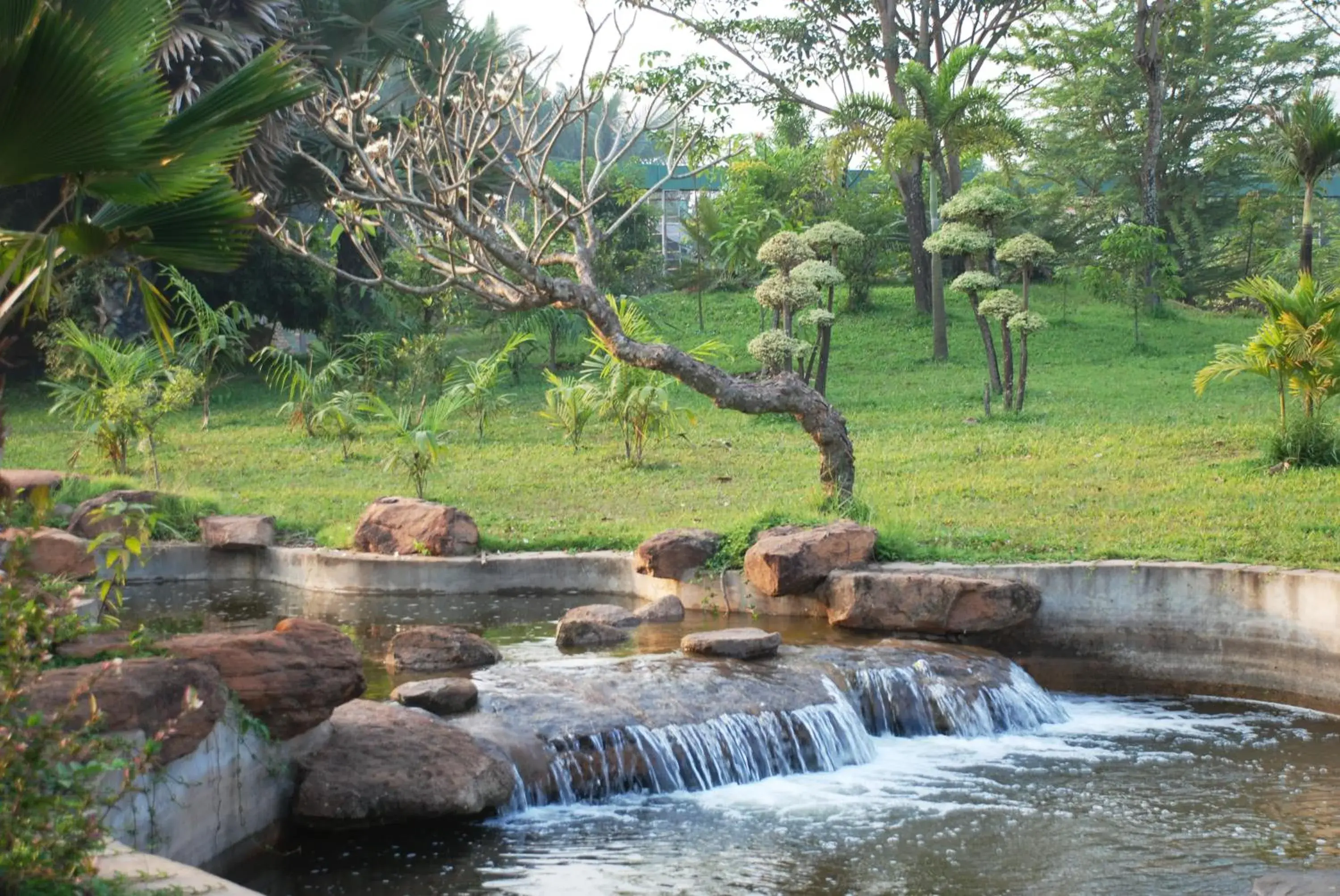 Garden in City Angkor Hotel