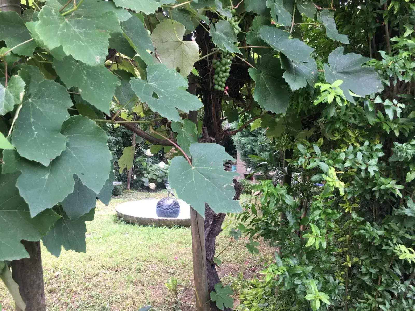 Garden in Alla Rotonda dai Santi