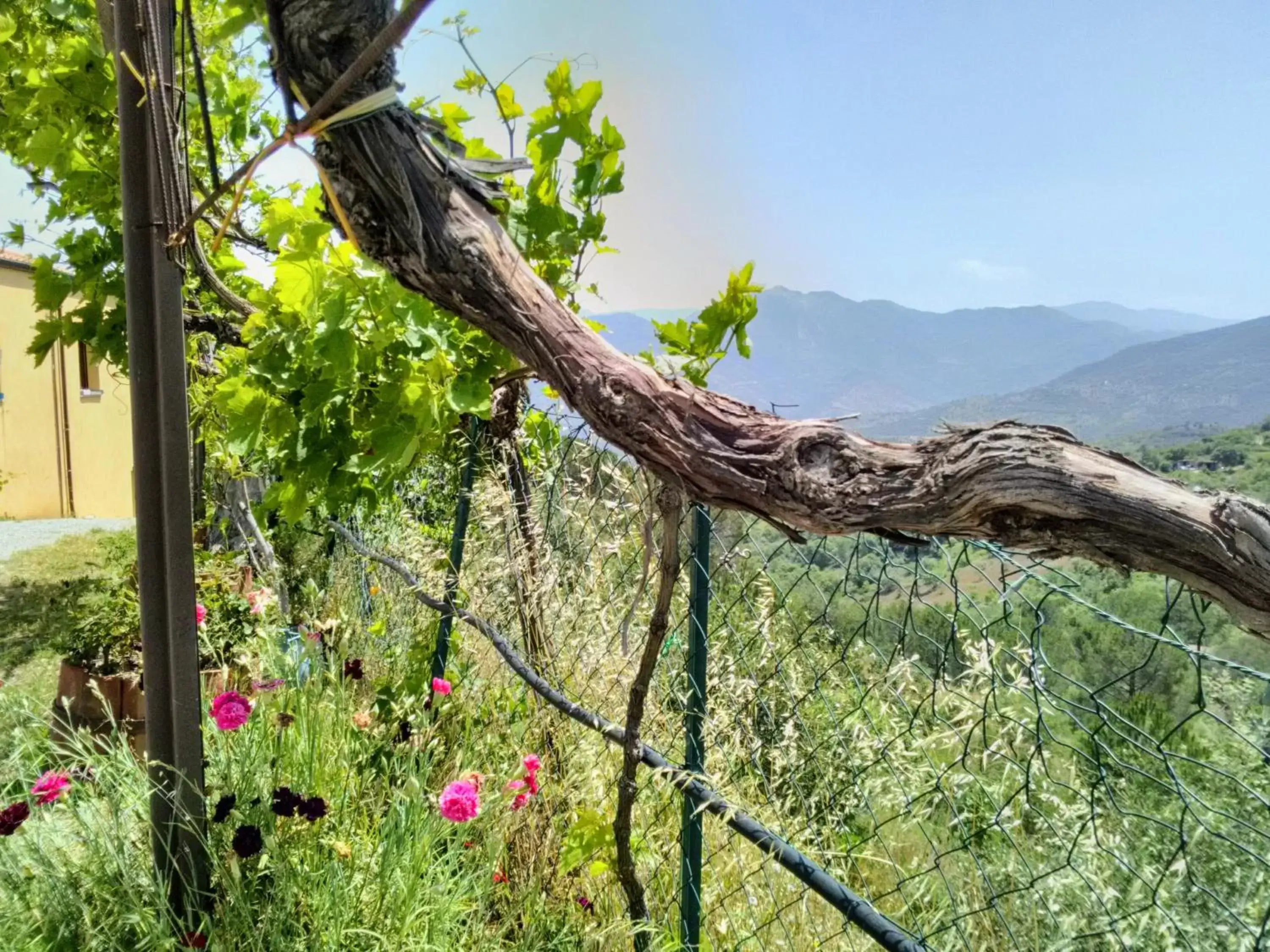 Mountain view in Villaggio dei Balocchi