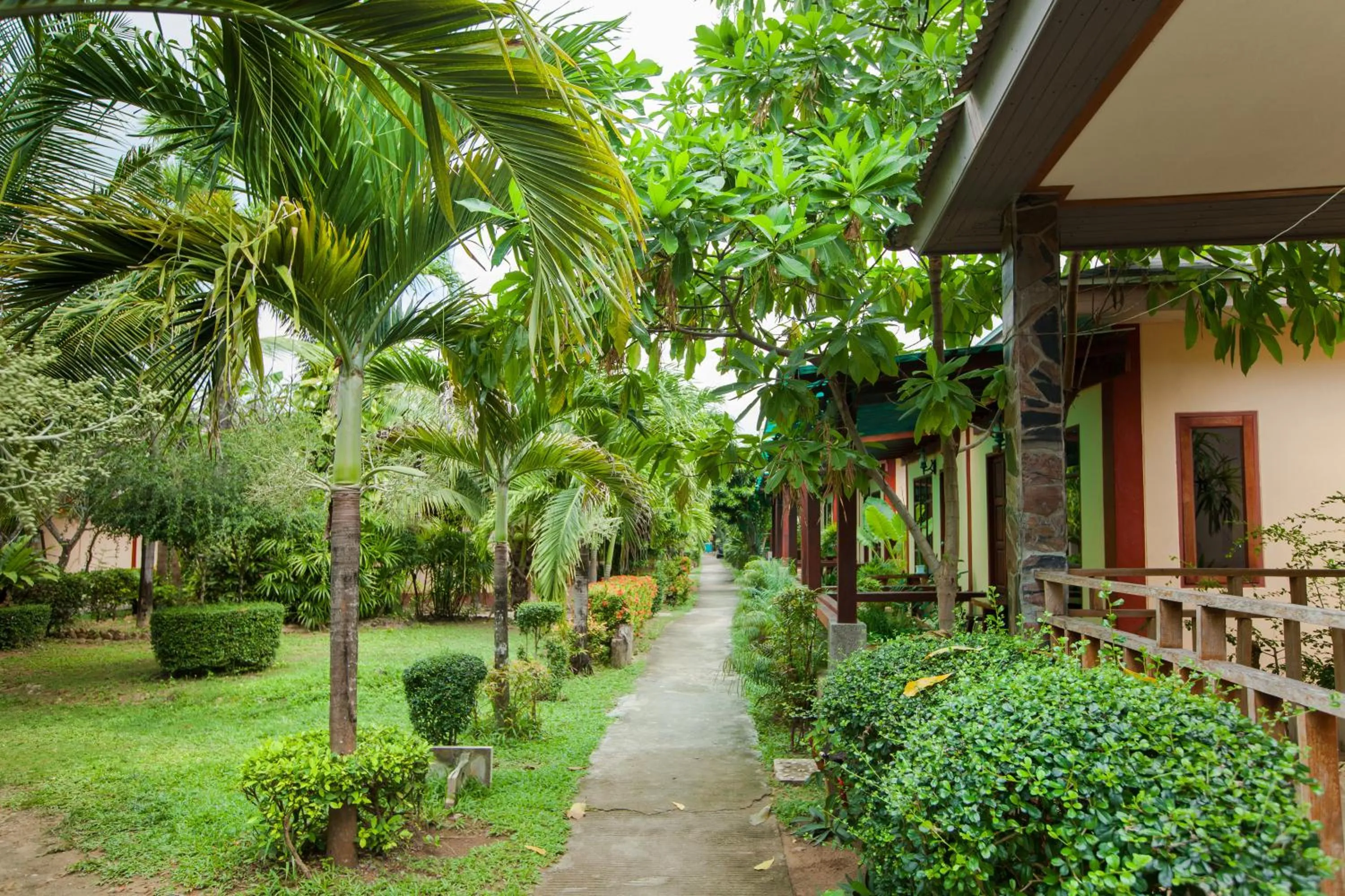 Natural landscape in Lanta Riviera Beach Resort
