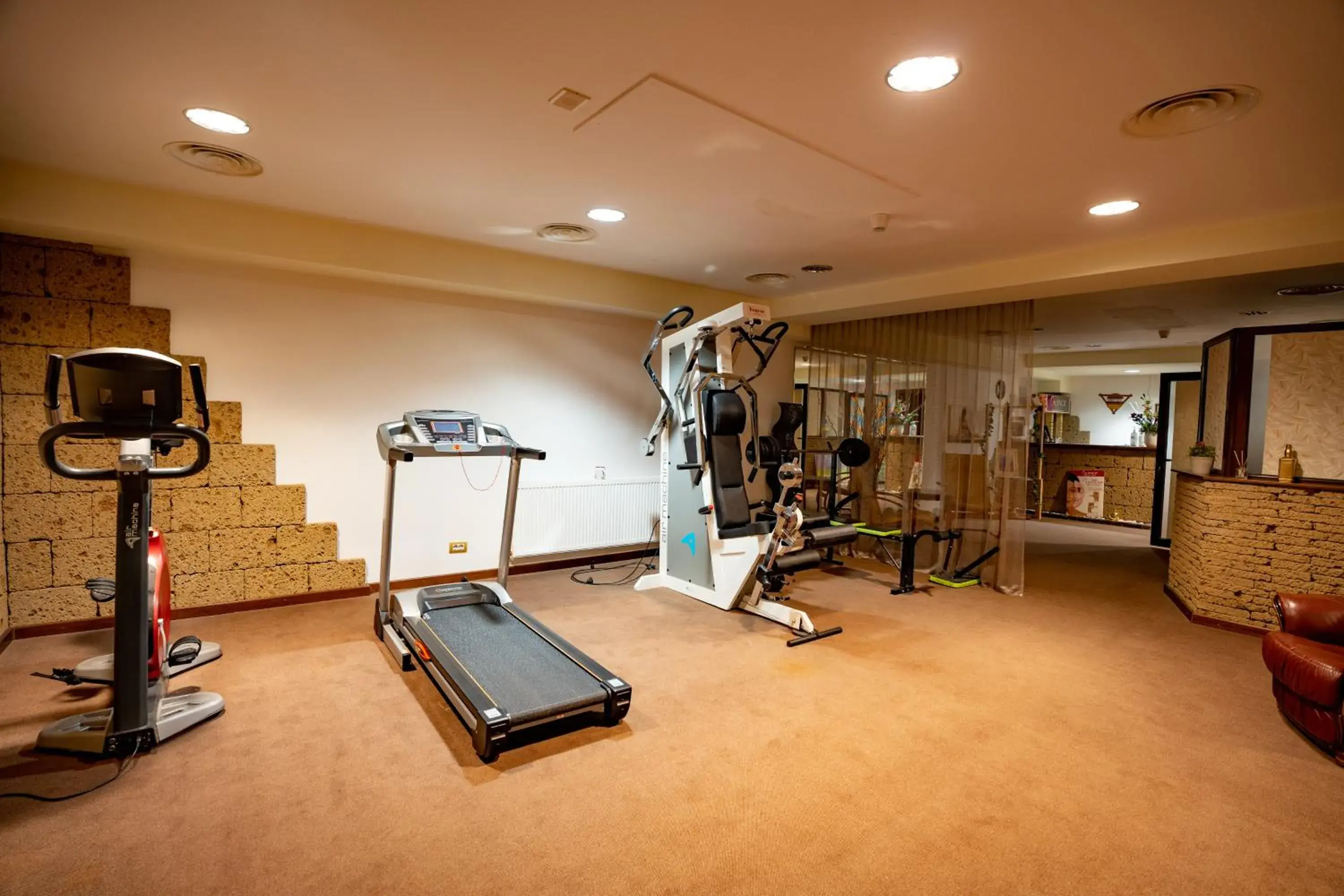 Spa and wellness centre/facilities, Fitness Center/Facilities in House of Dracula Hotel