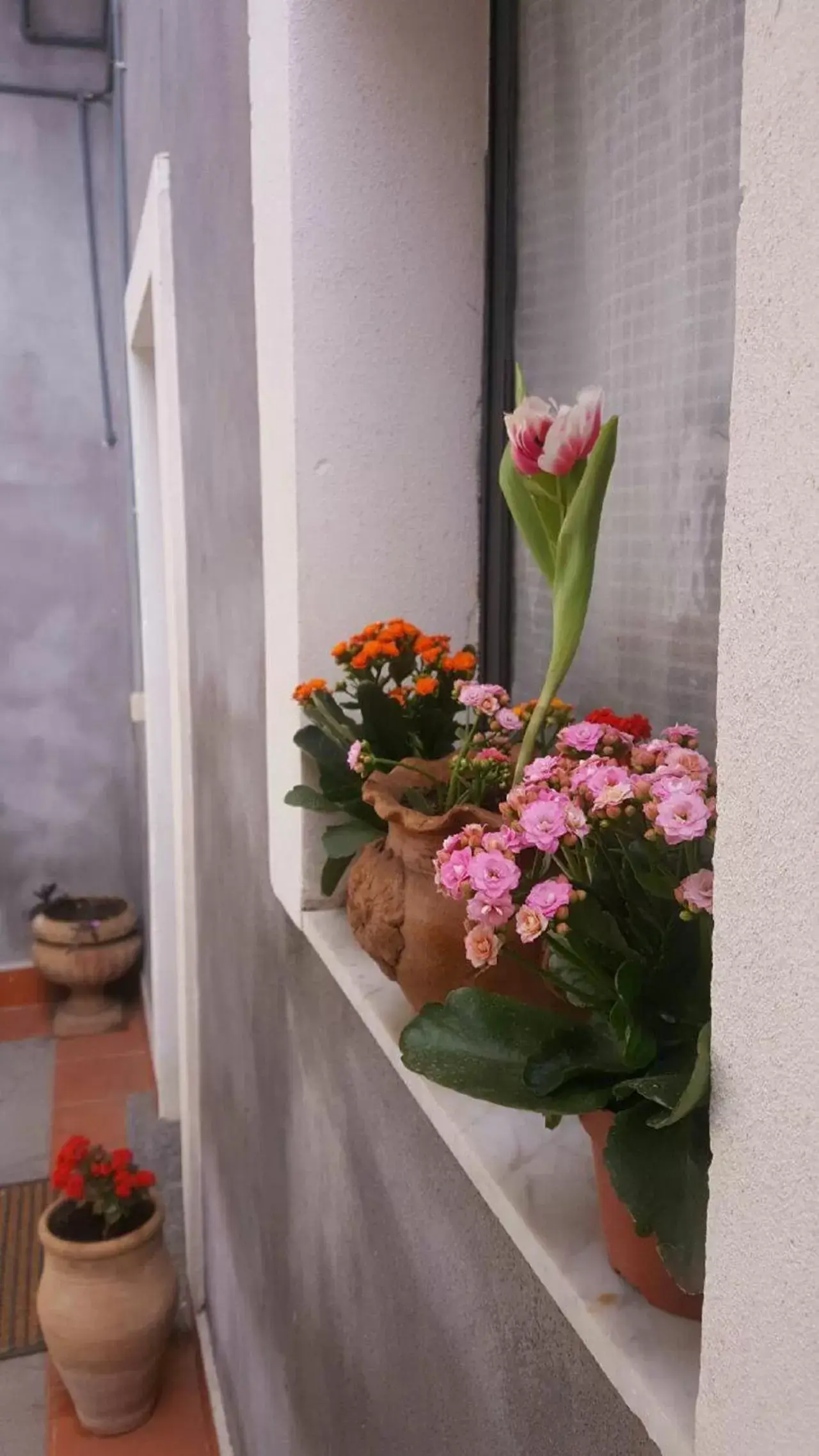 Balcony/Terrace in I Cappuccini Rooms