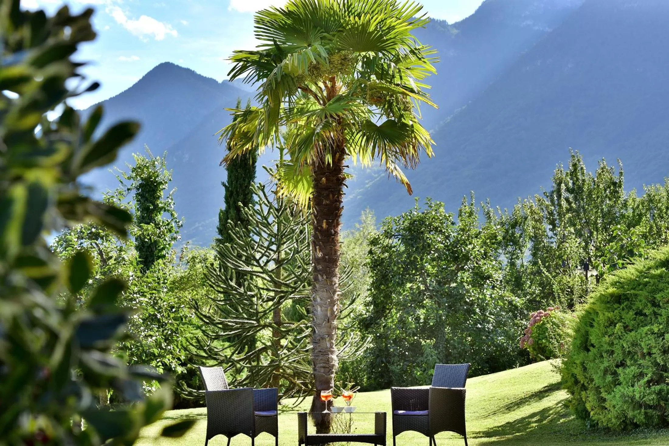Garden in Hotel Torgglhof