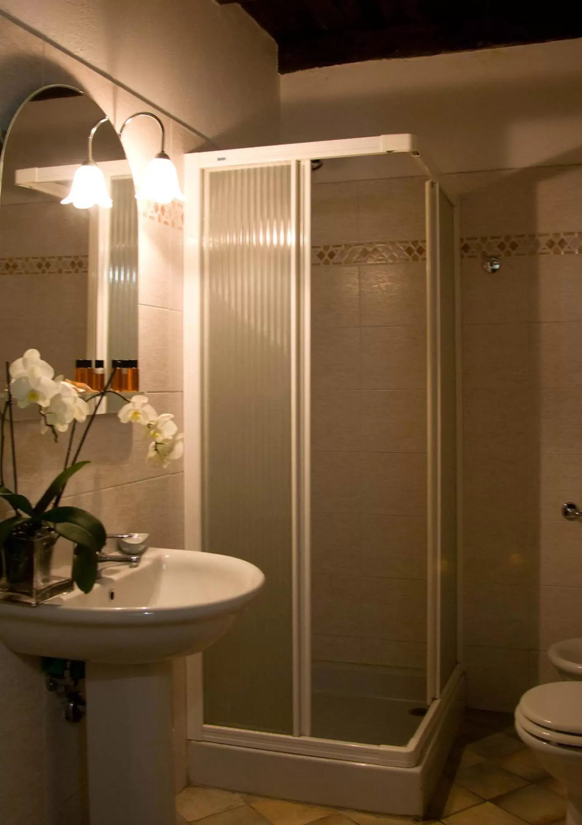 Shower, Bathroom in Borgo San Valentino