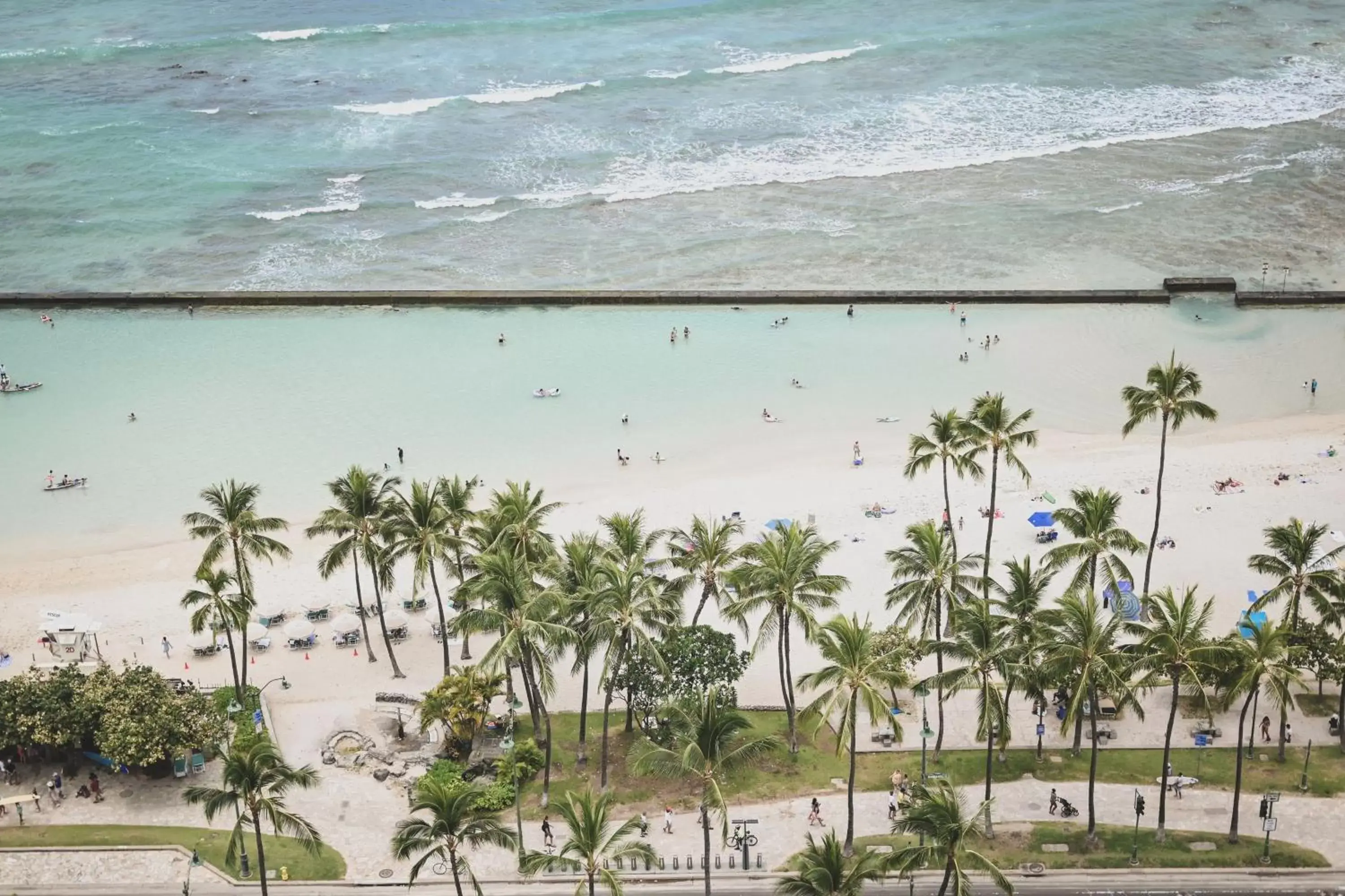 Beach in Waikiki Beach Marriott Resort & Spa