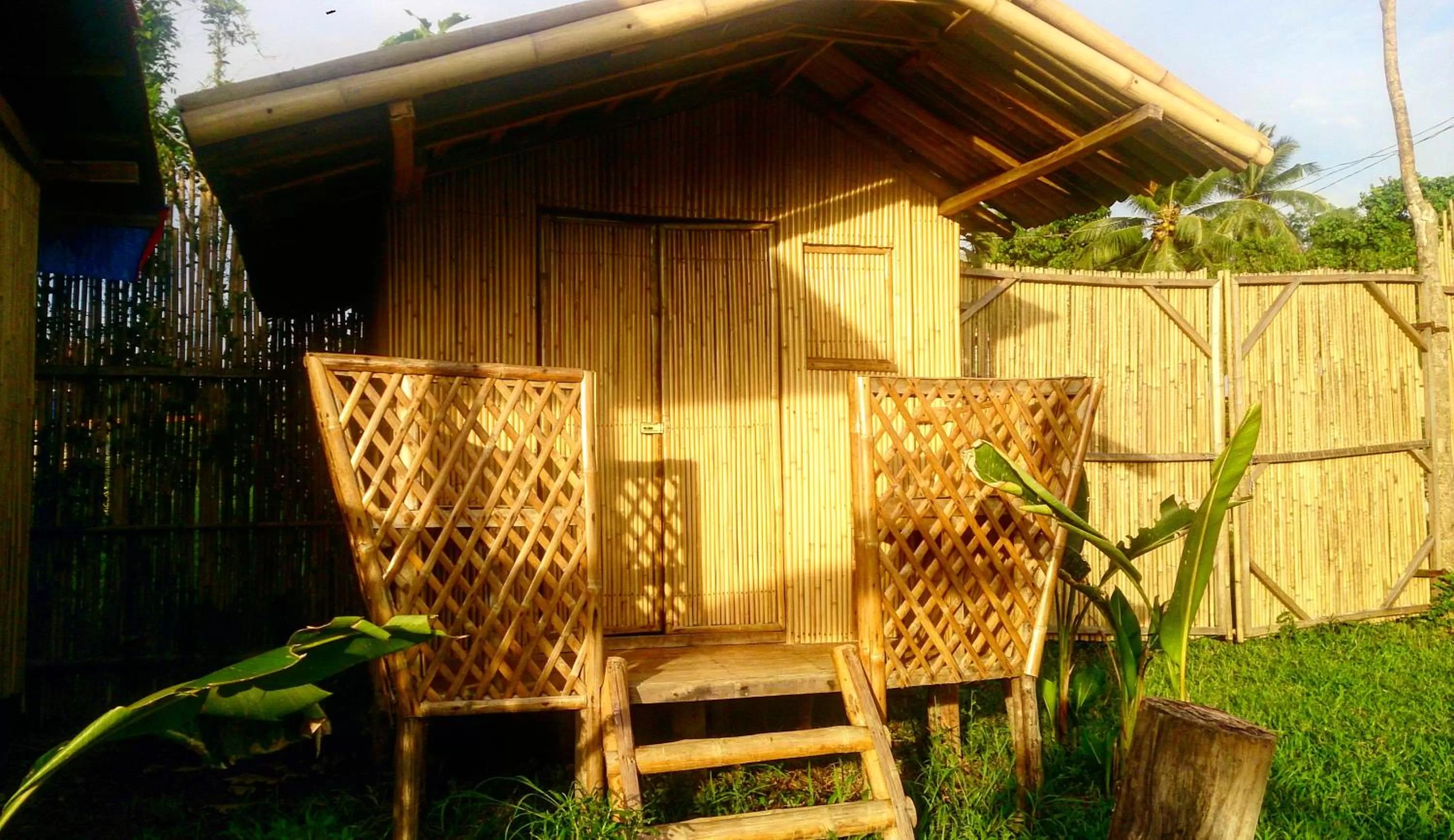 Photo of the whole room in Banana Grove El Nido