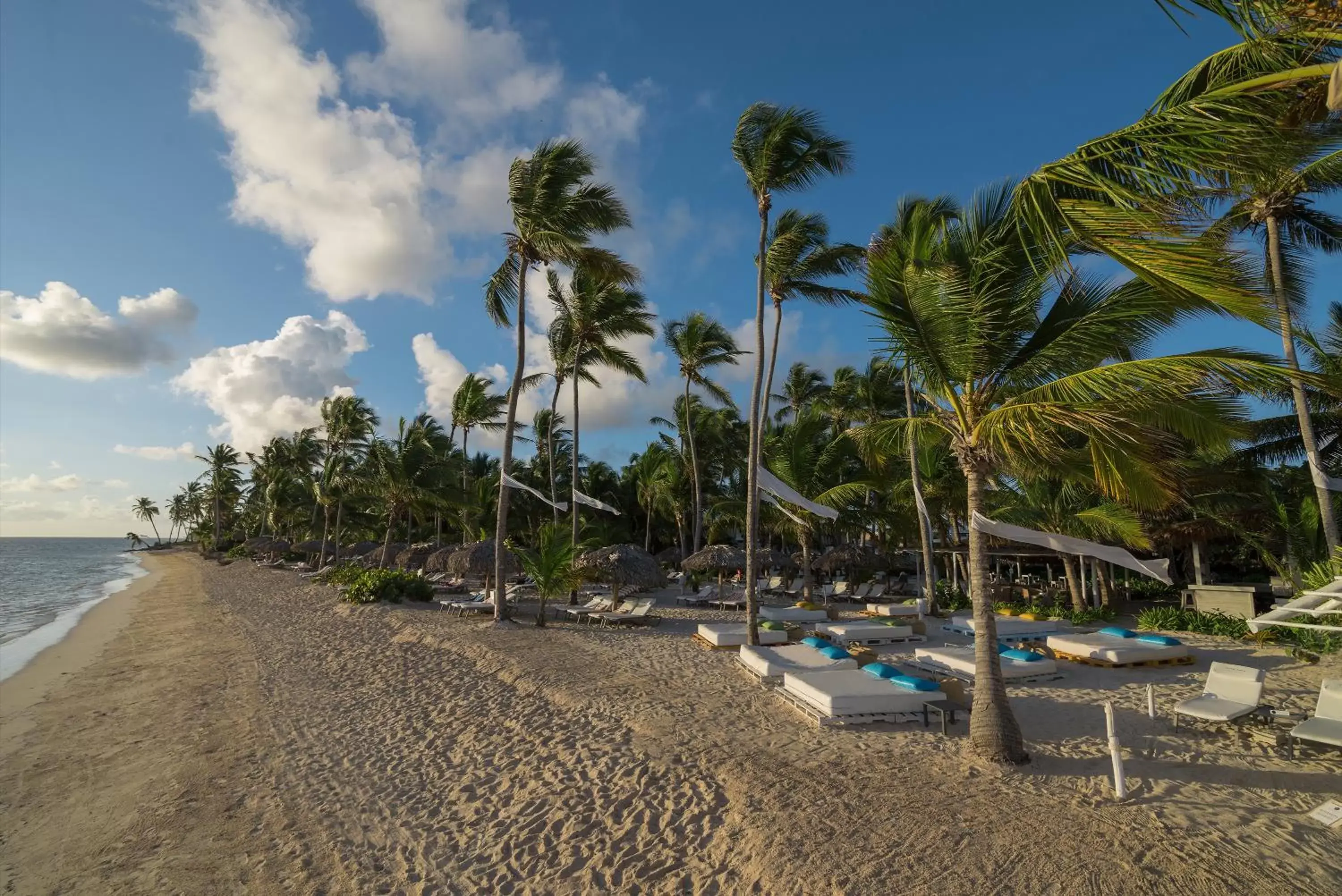 Beach in Catalonia Royal Bavaro - All Inclusive - Adults Only