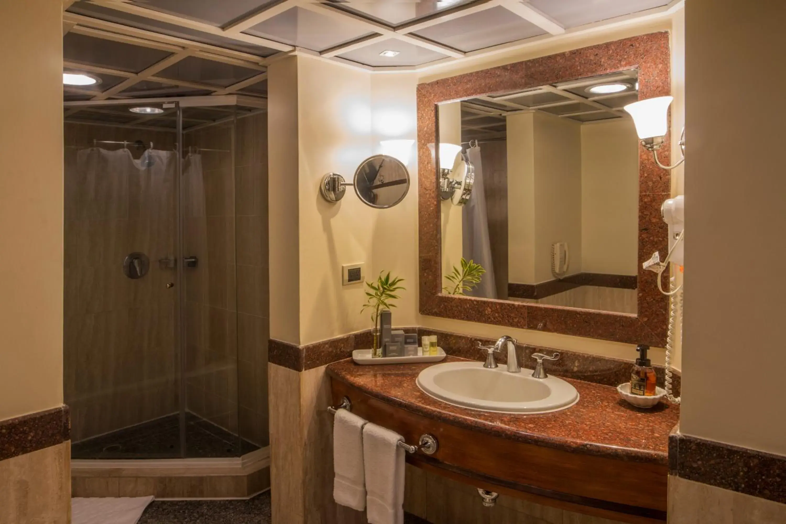 Shower, Bathroom in Hotel Tamanaco Caracas
