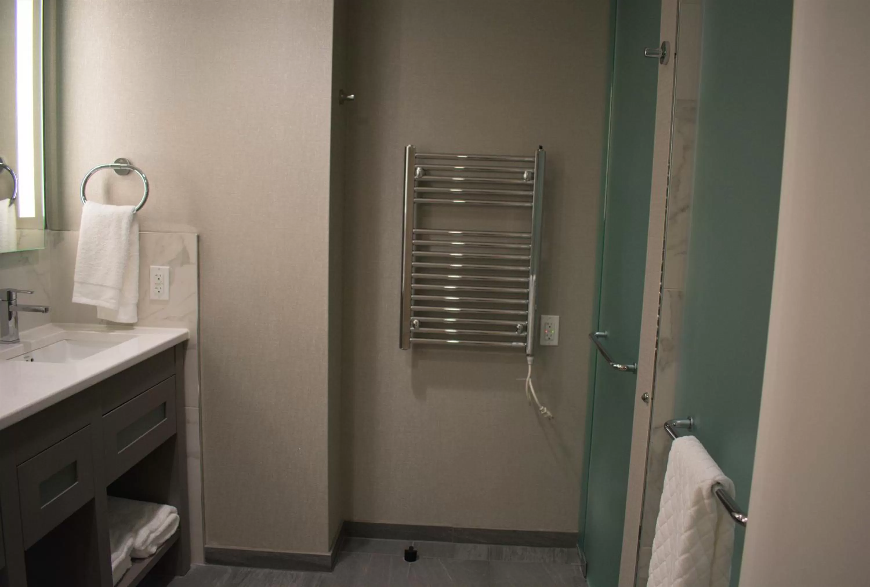 Bathroom in YO1 Longevity & Health Resorts, Catskills