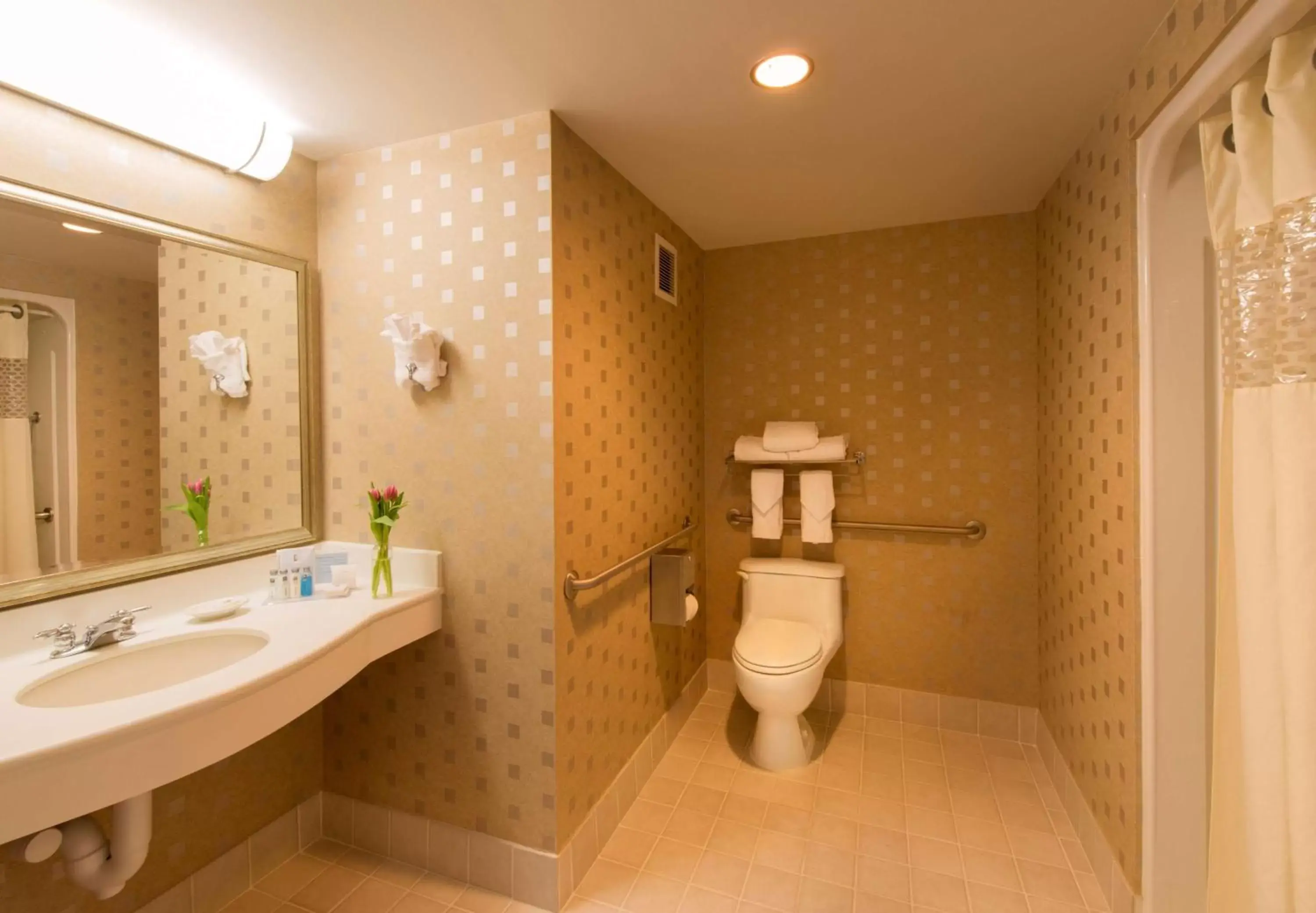 Bathroom in Hampton Inn & Suites Boston Crosstown Center Bathroom in Hampton Inn & Suites Boston Crosstown Center
