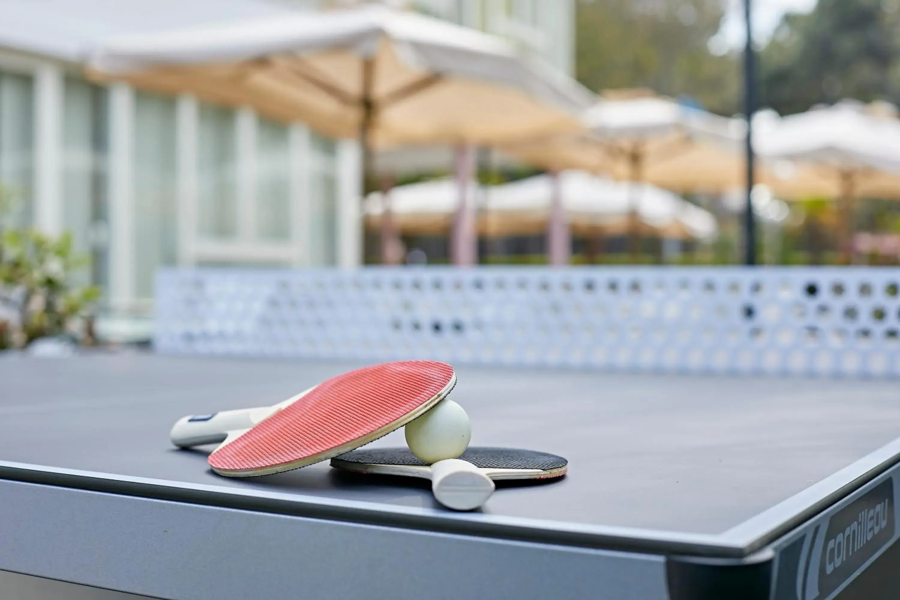 Table tennis in Hotel Ridolfi
