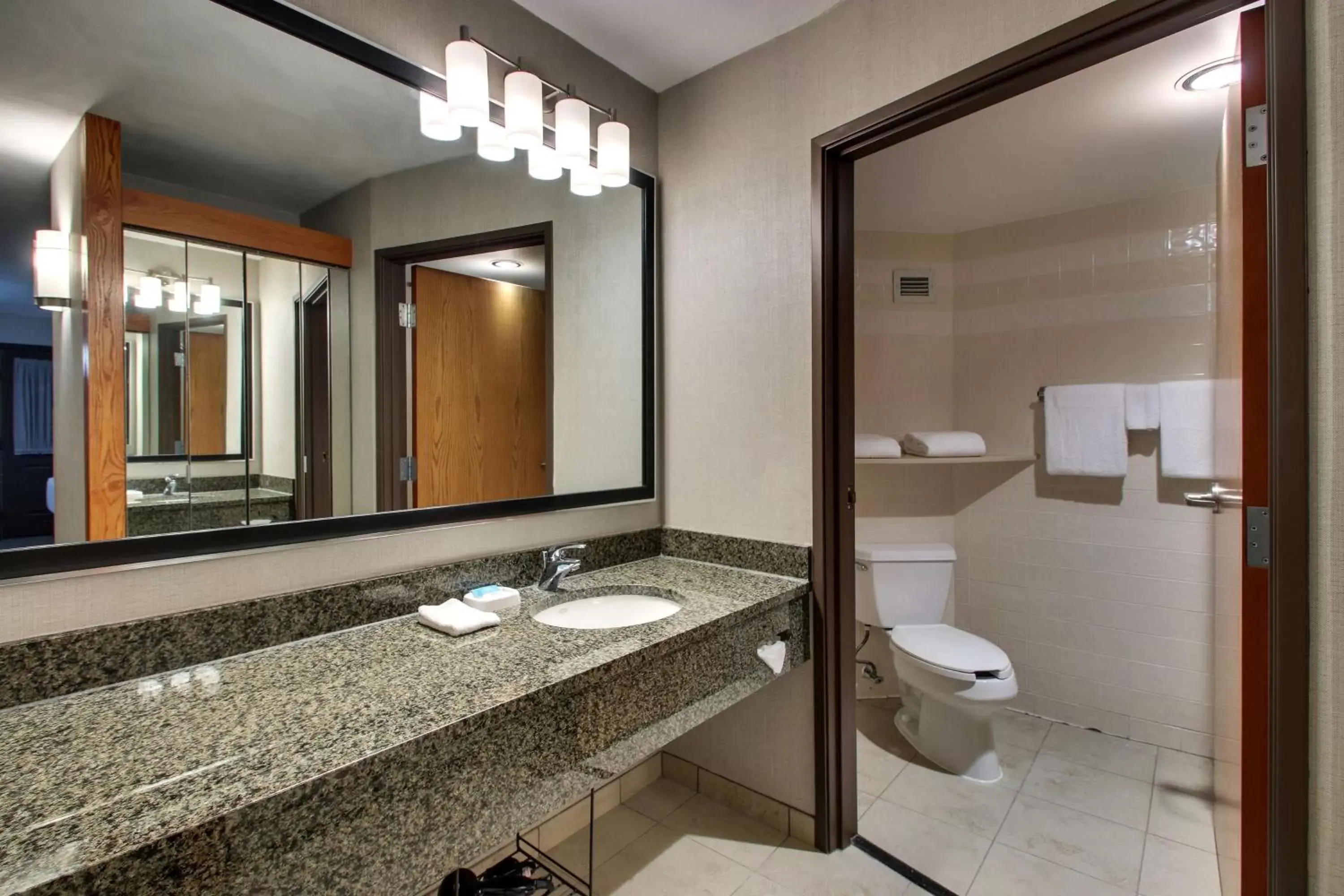 Bathroom in Drury Inn & Suites San Antonio Northwest Medical Center