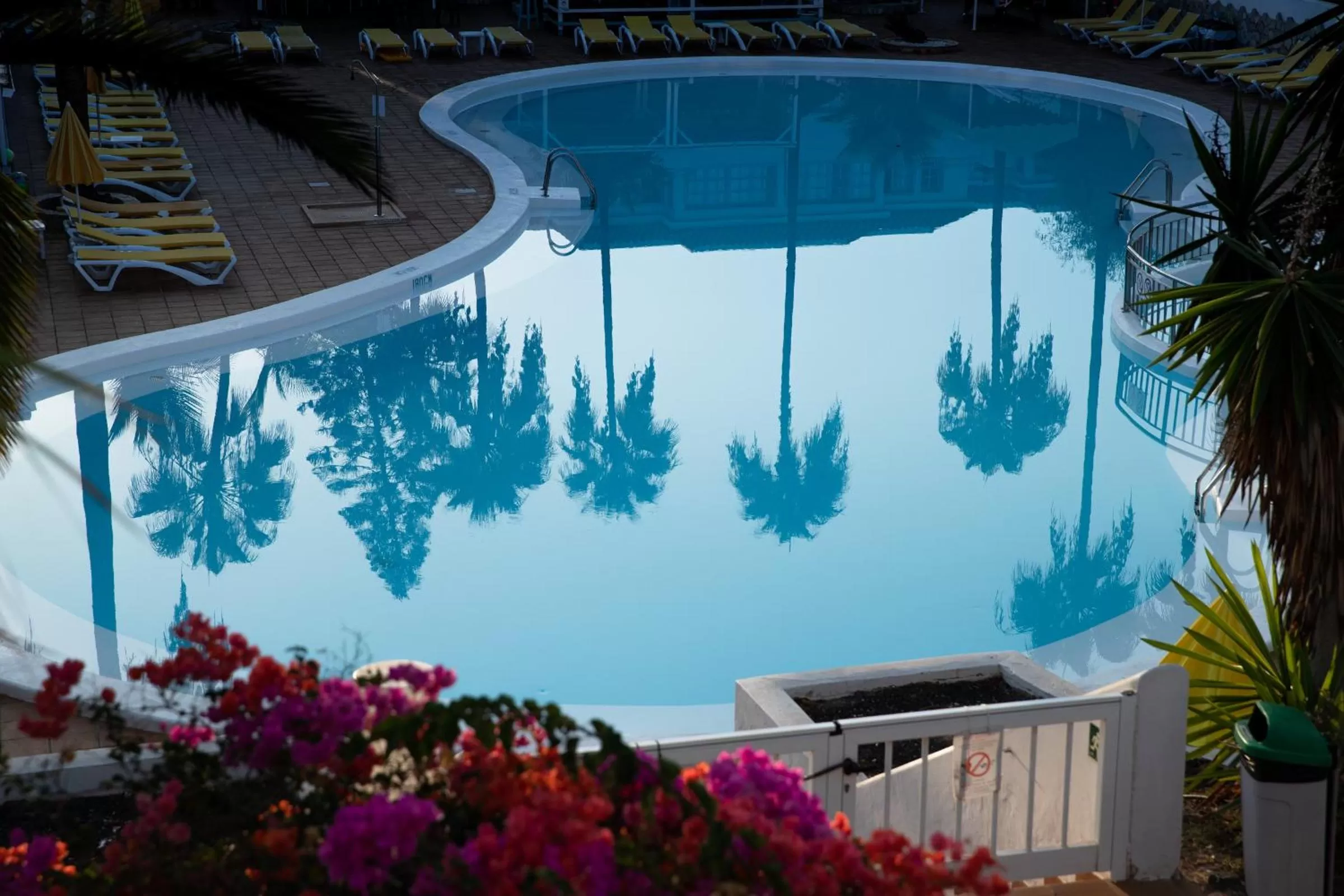 Pool view in Fuentepark Apartments