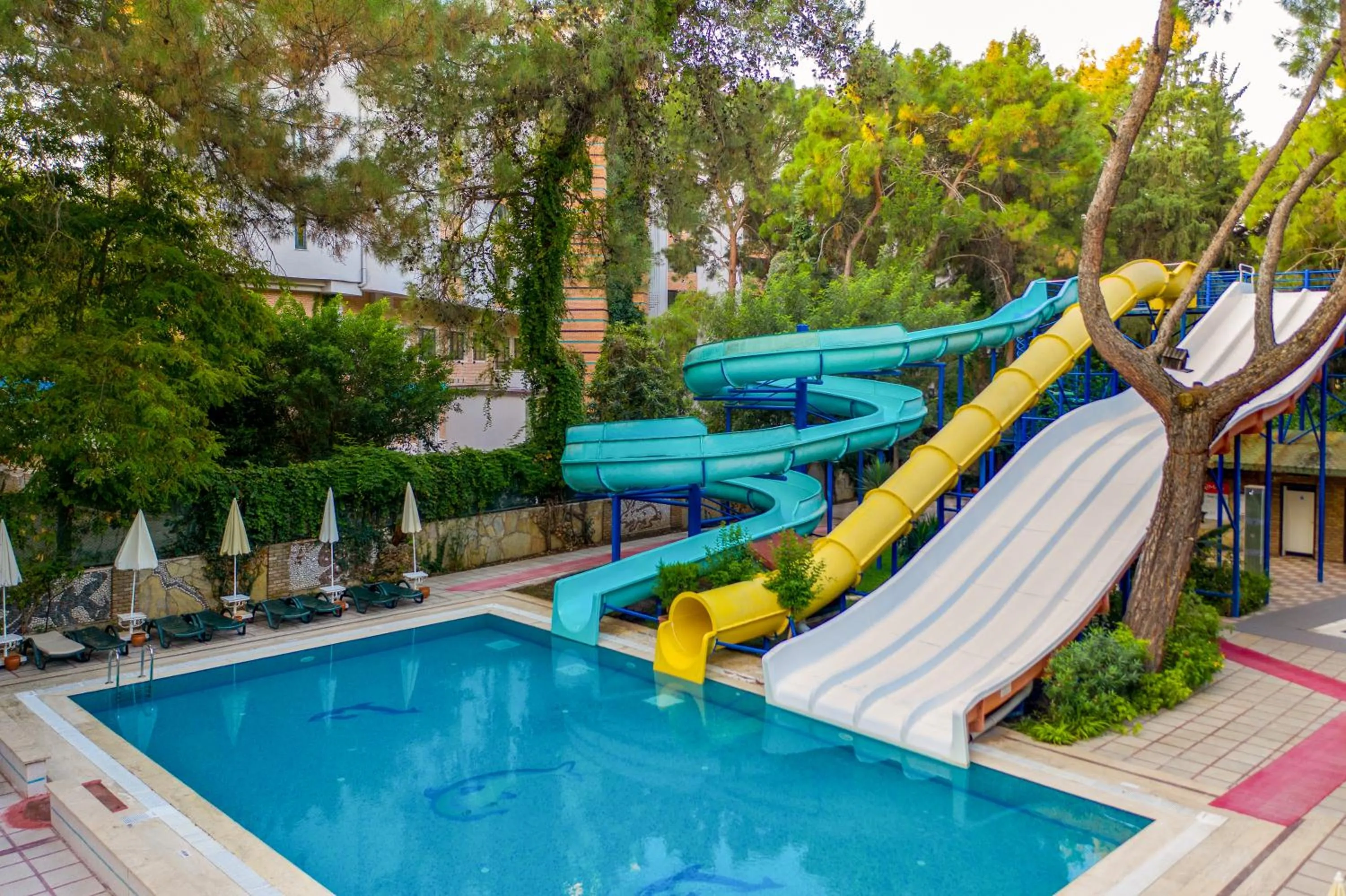 Activities in Armas Kaplan Paradise