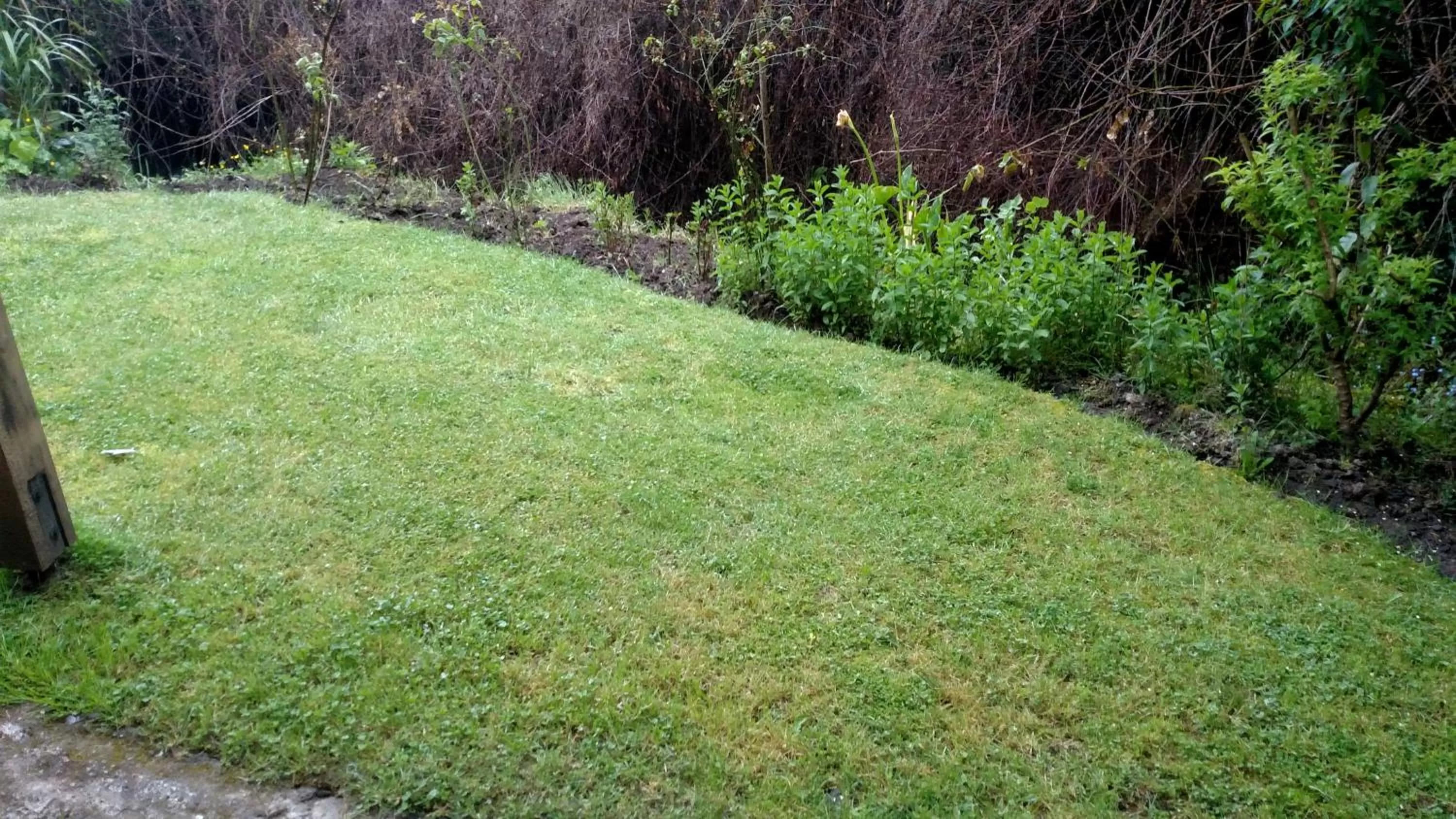 Garden in Omi Kika B&B