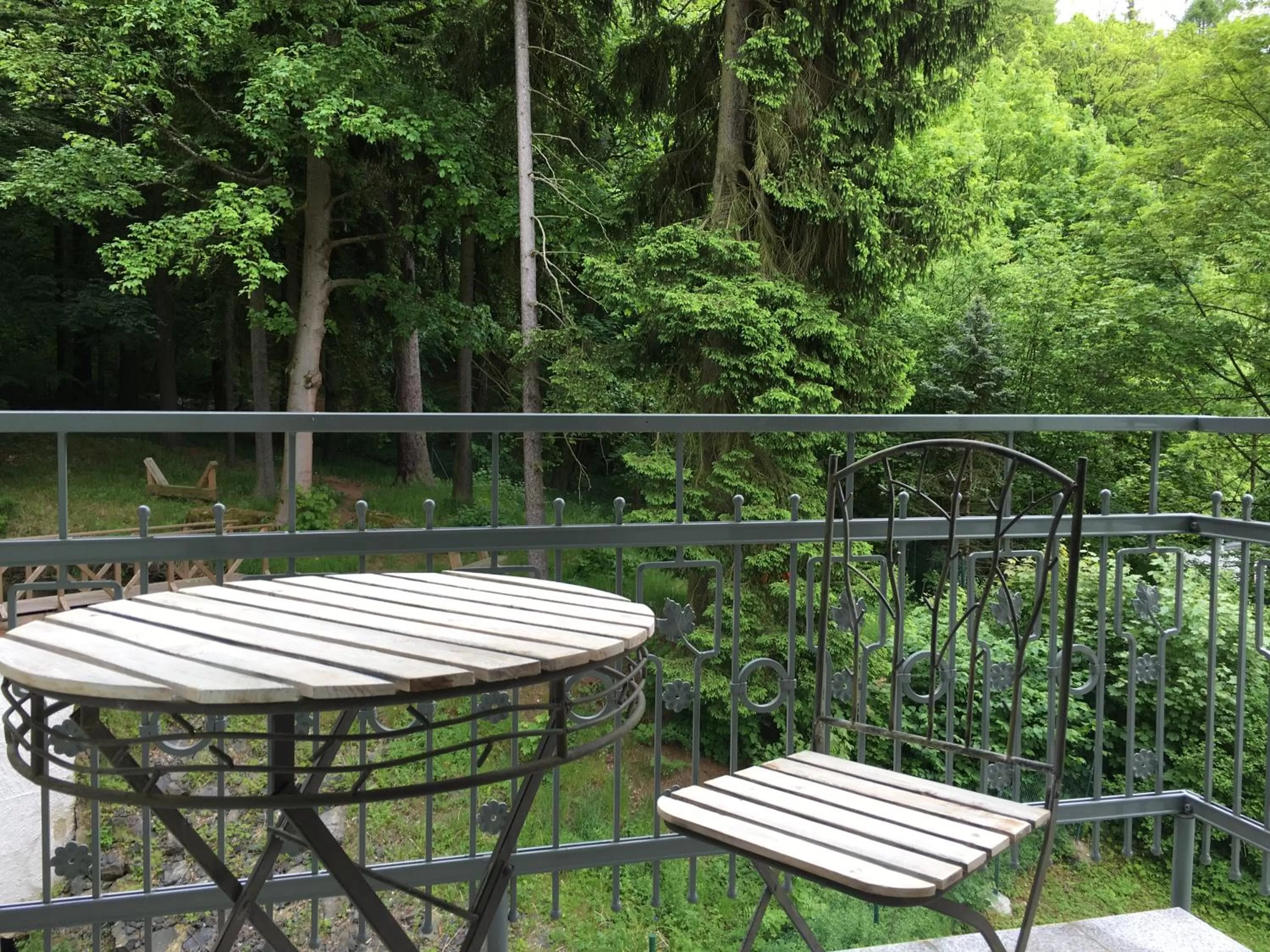 Garden view in Parkhotel Forest