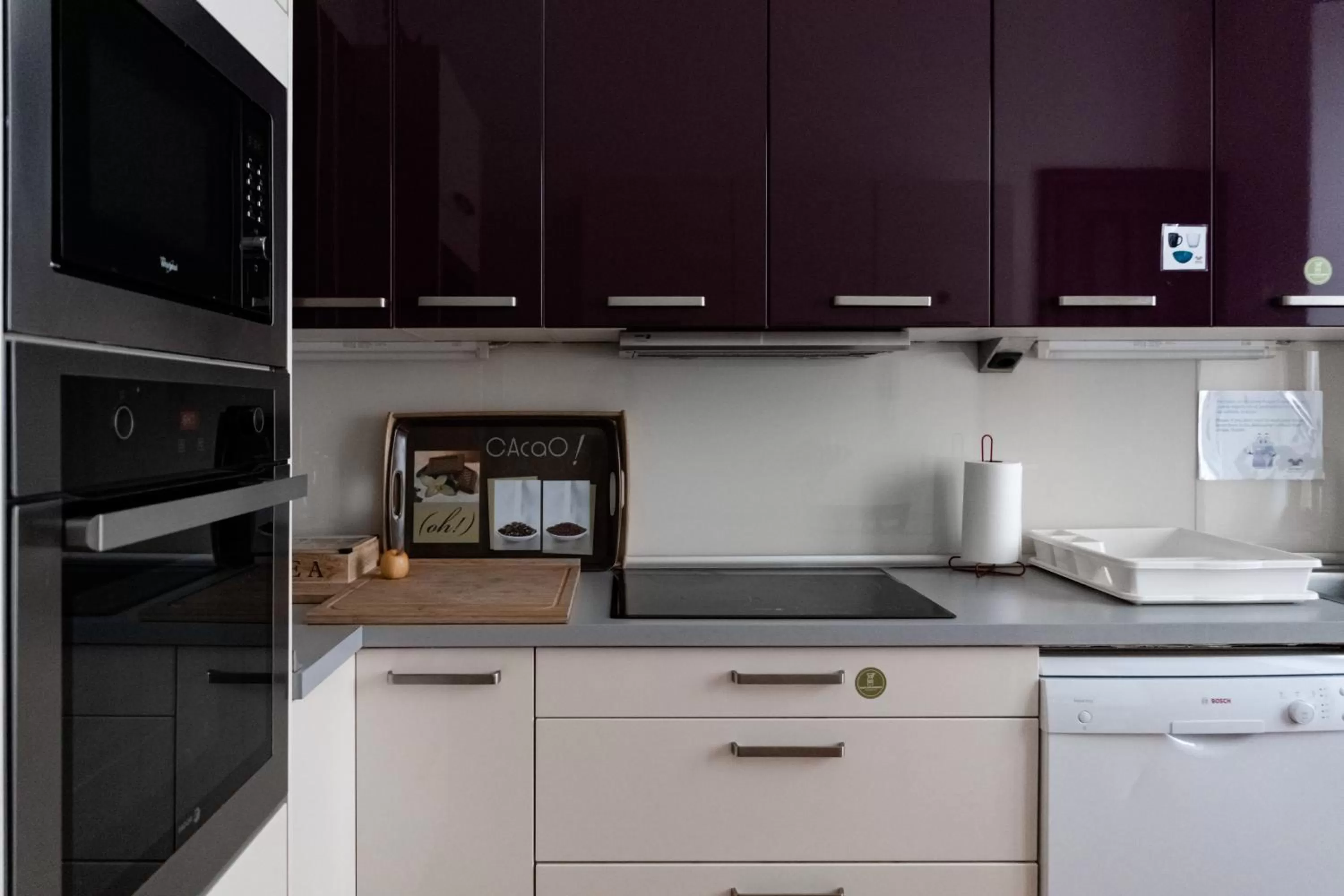 Kitchen or kitchenette in Santa Ana Suite & Rooms