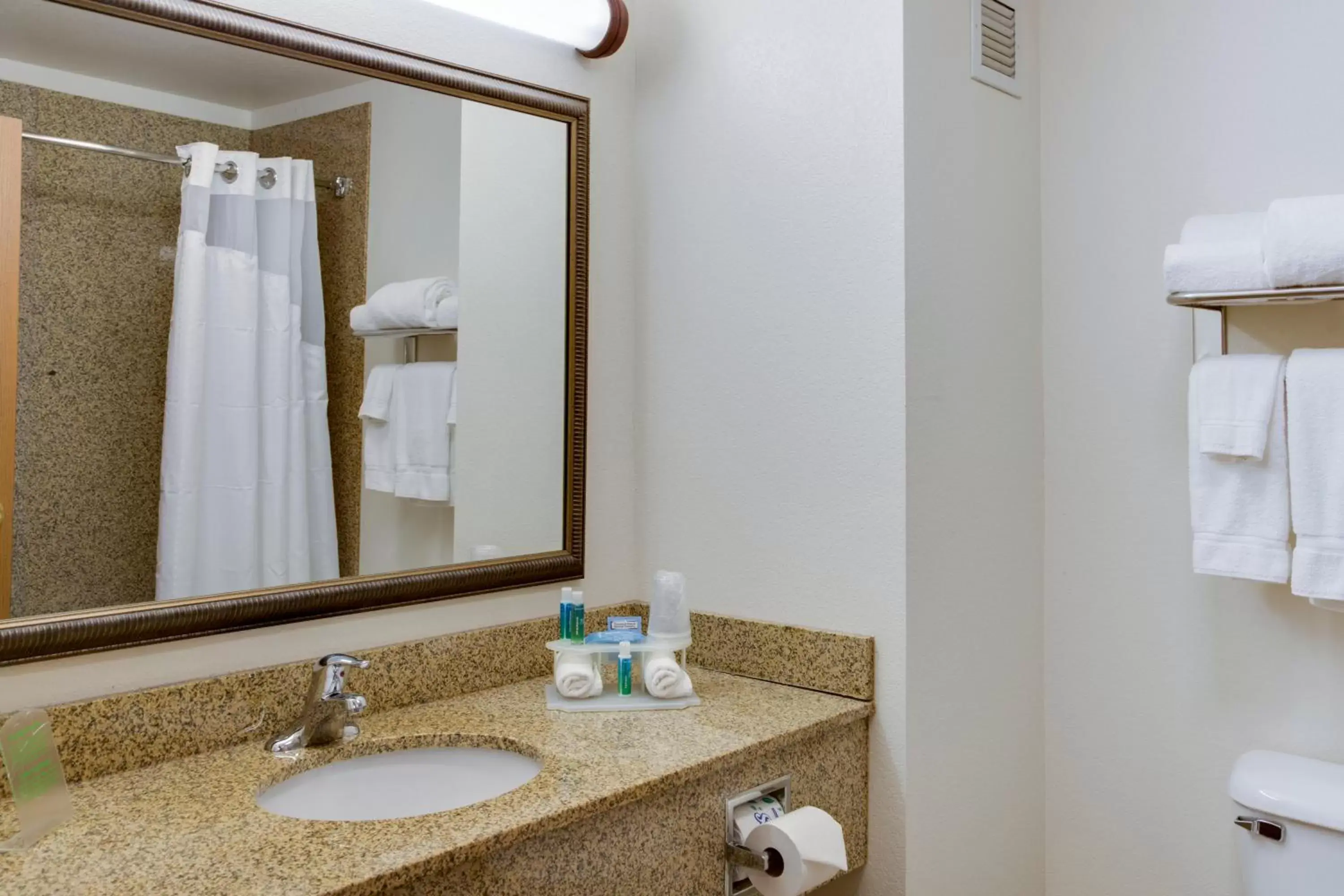 Bathroom in Holiday Inn Express & Suites Jacksonville, an IHG Hotel