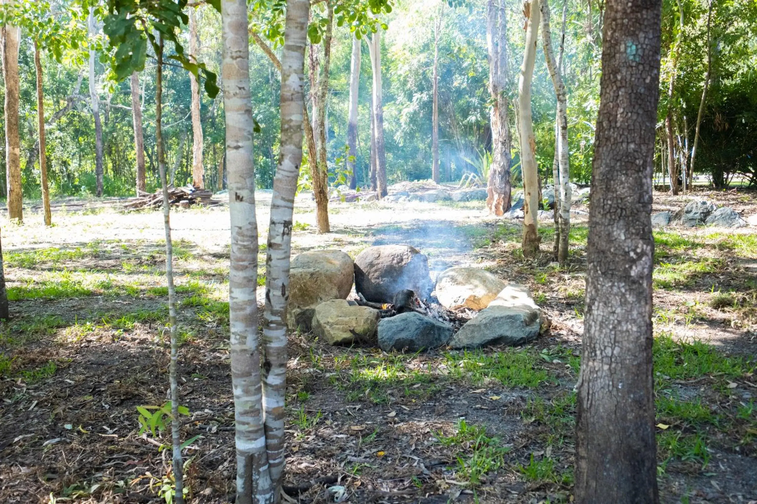 Garden in Airlie Beach Eco Cabins - Adults Only