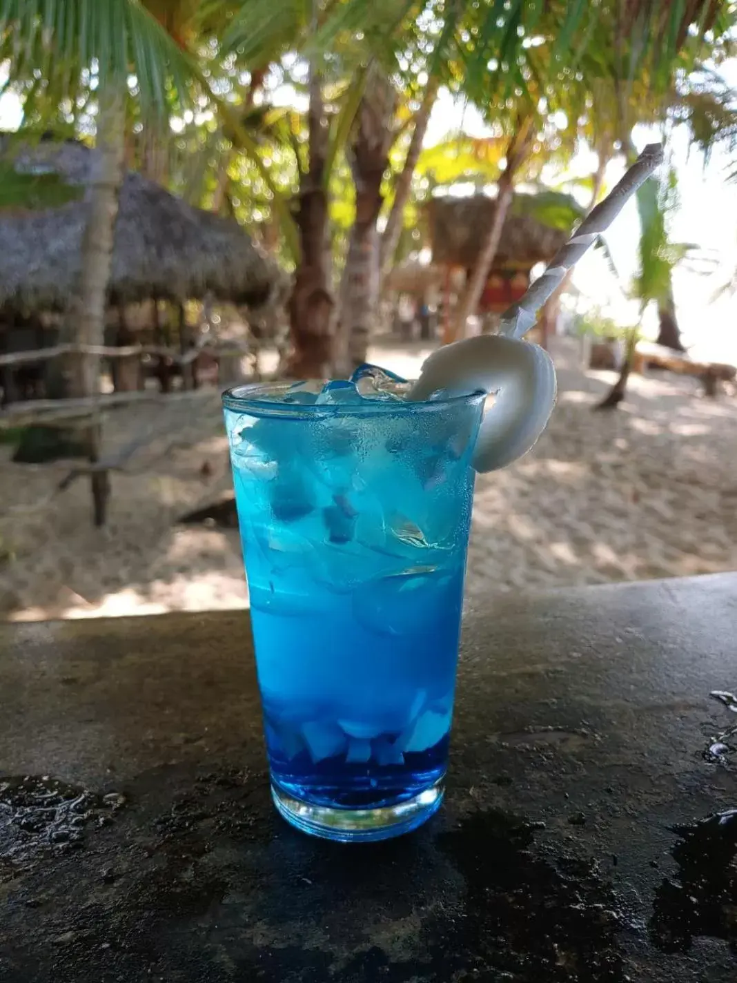 Drinks in Cabarete Maravilla Eco Lodge Boutique Beach Surf & Kite
