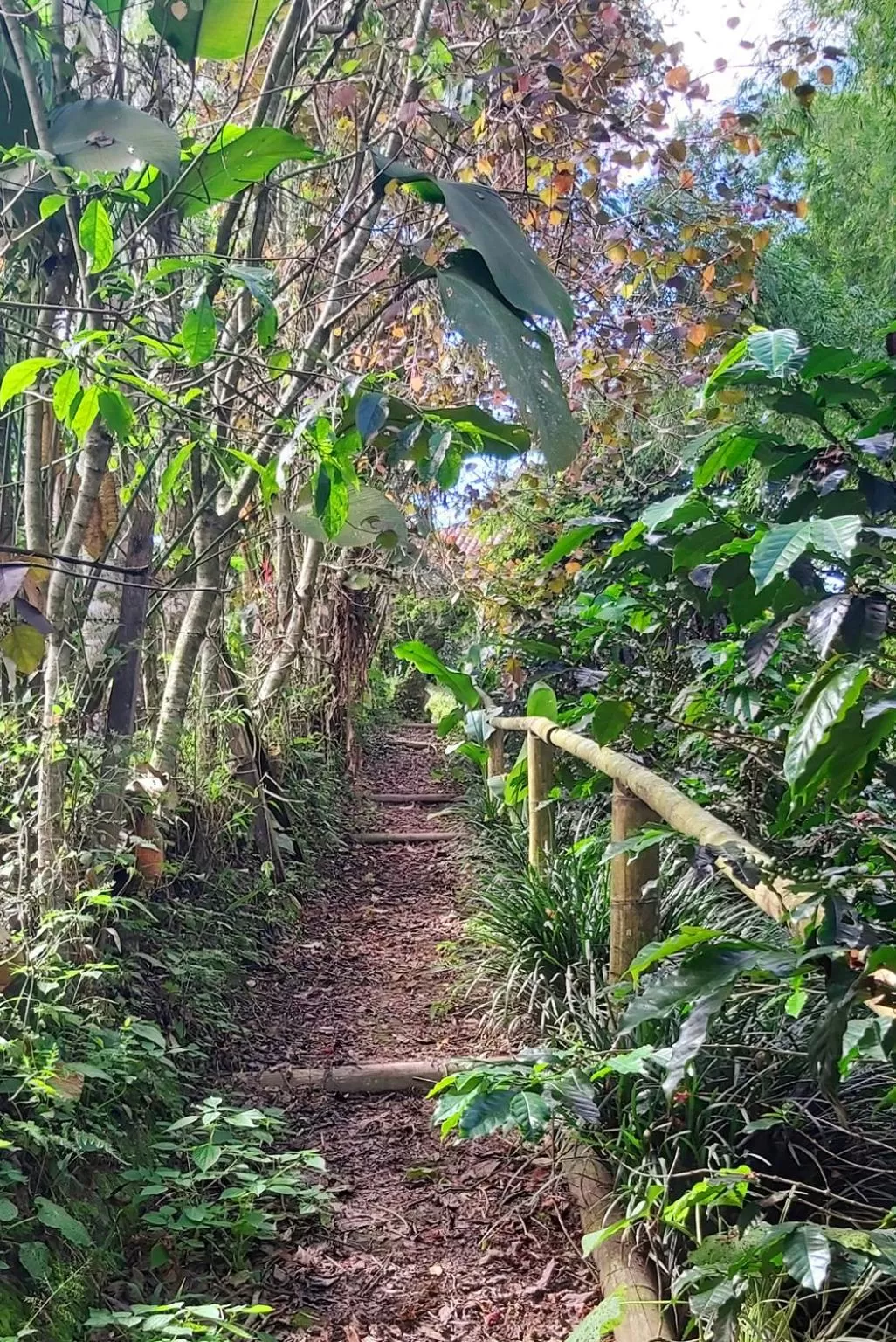 Natural landscape in Balsora Hotel Boutique