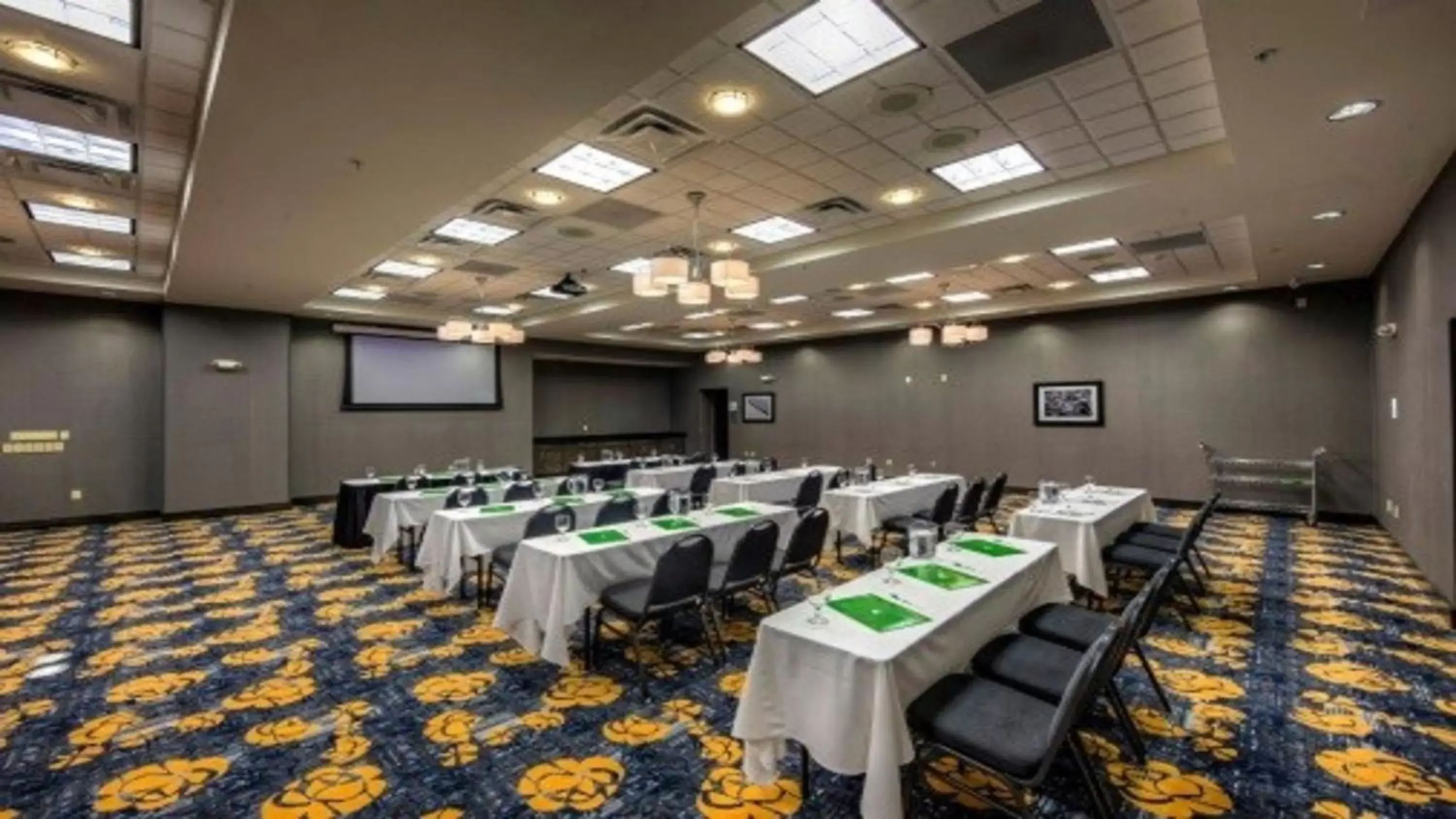 Meeting/conference room in Holiday Inn Cleveland Northeast - Mentor, an IHG Hotel