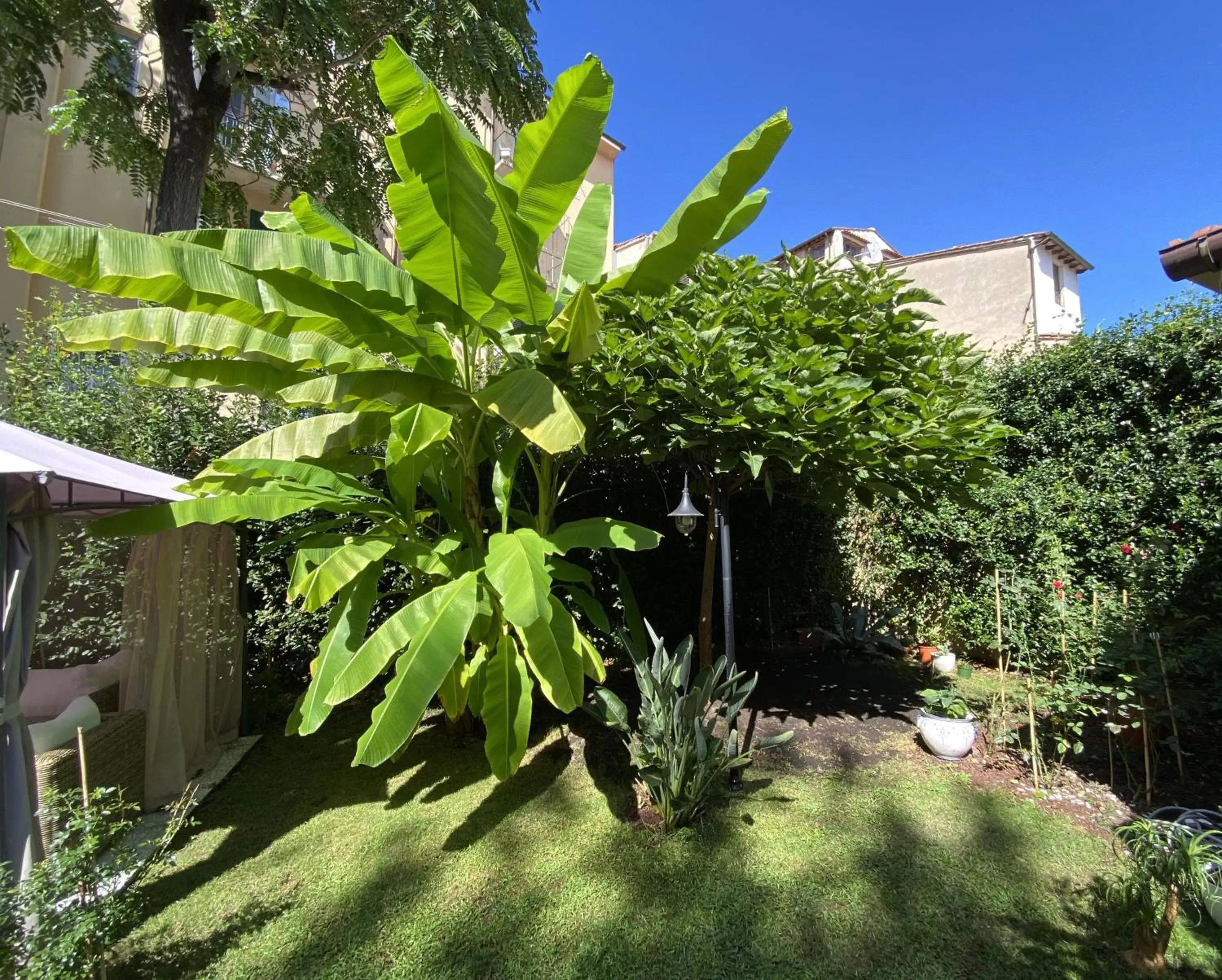 Day, Garden in Palazzo Cini Luxury Rooms in Pisa