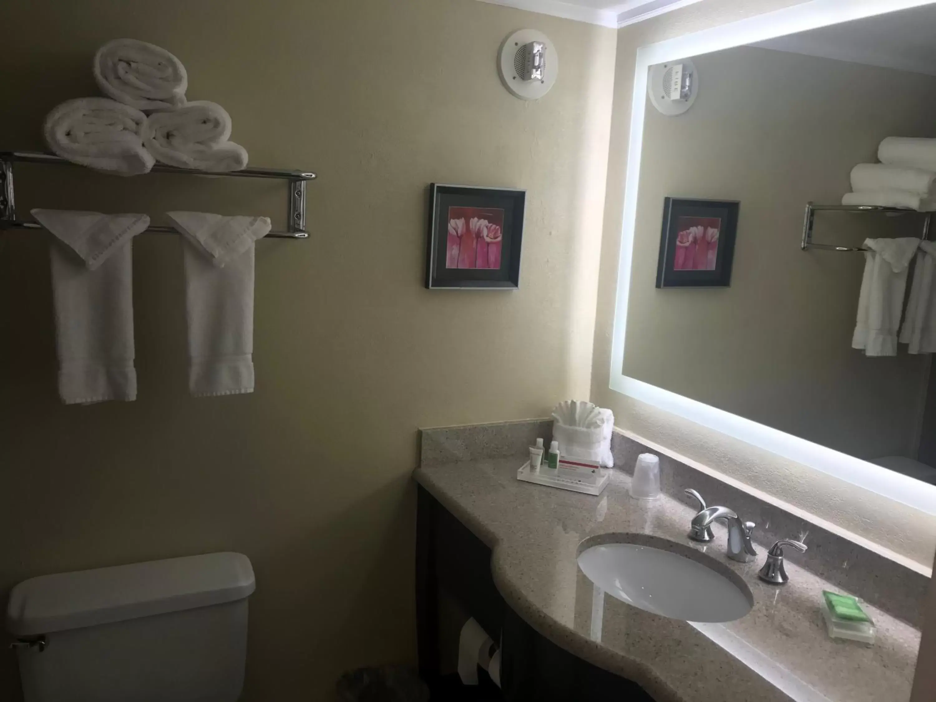 Toilet, Bathroom in Holiday Inn Orlando East-UCF Area, an IHG Hotel