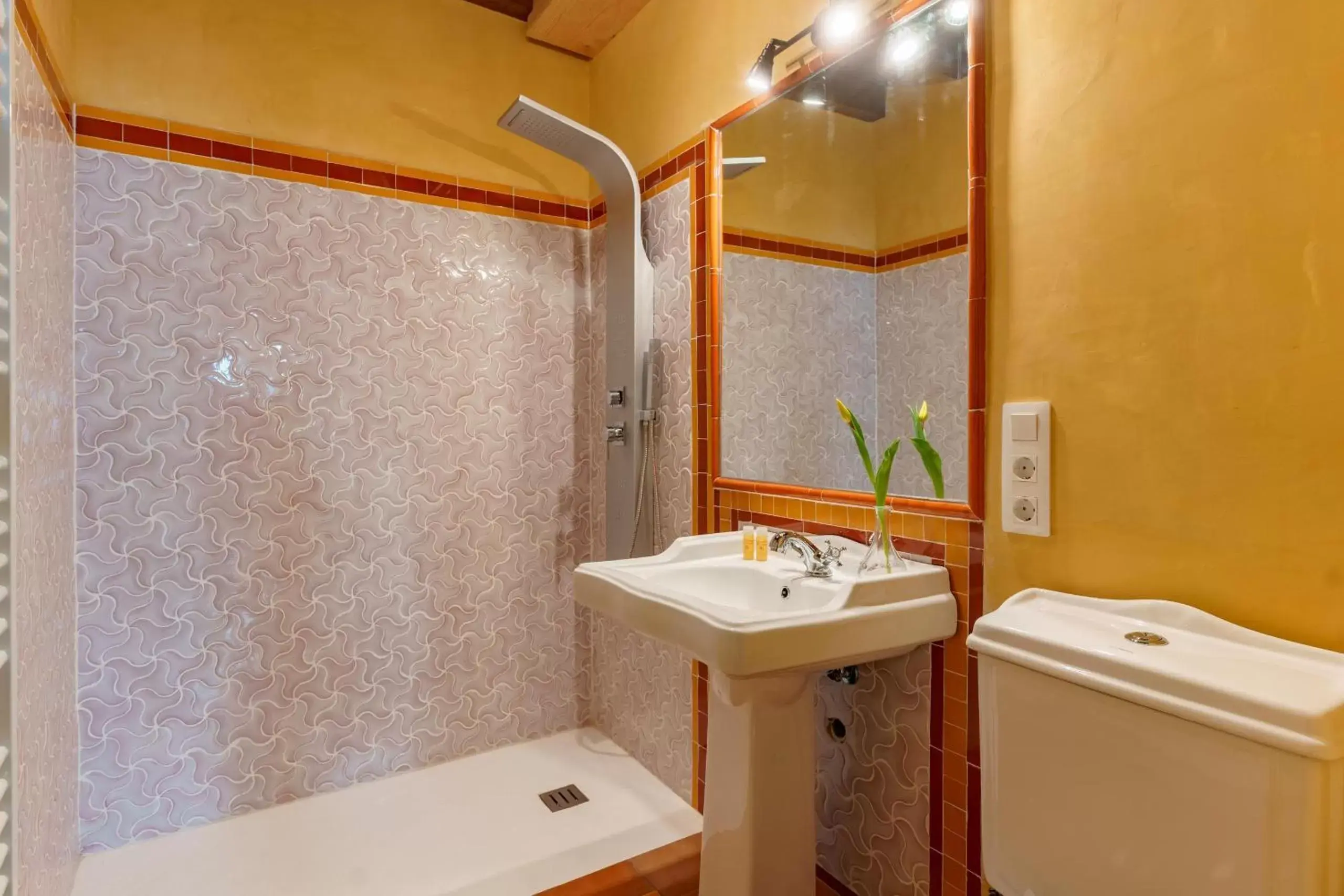 Shower, Bathroom in SUITES CASA DE LAS COLUMNAS