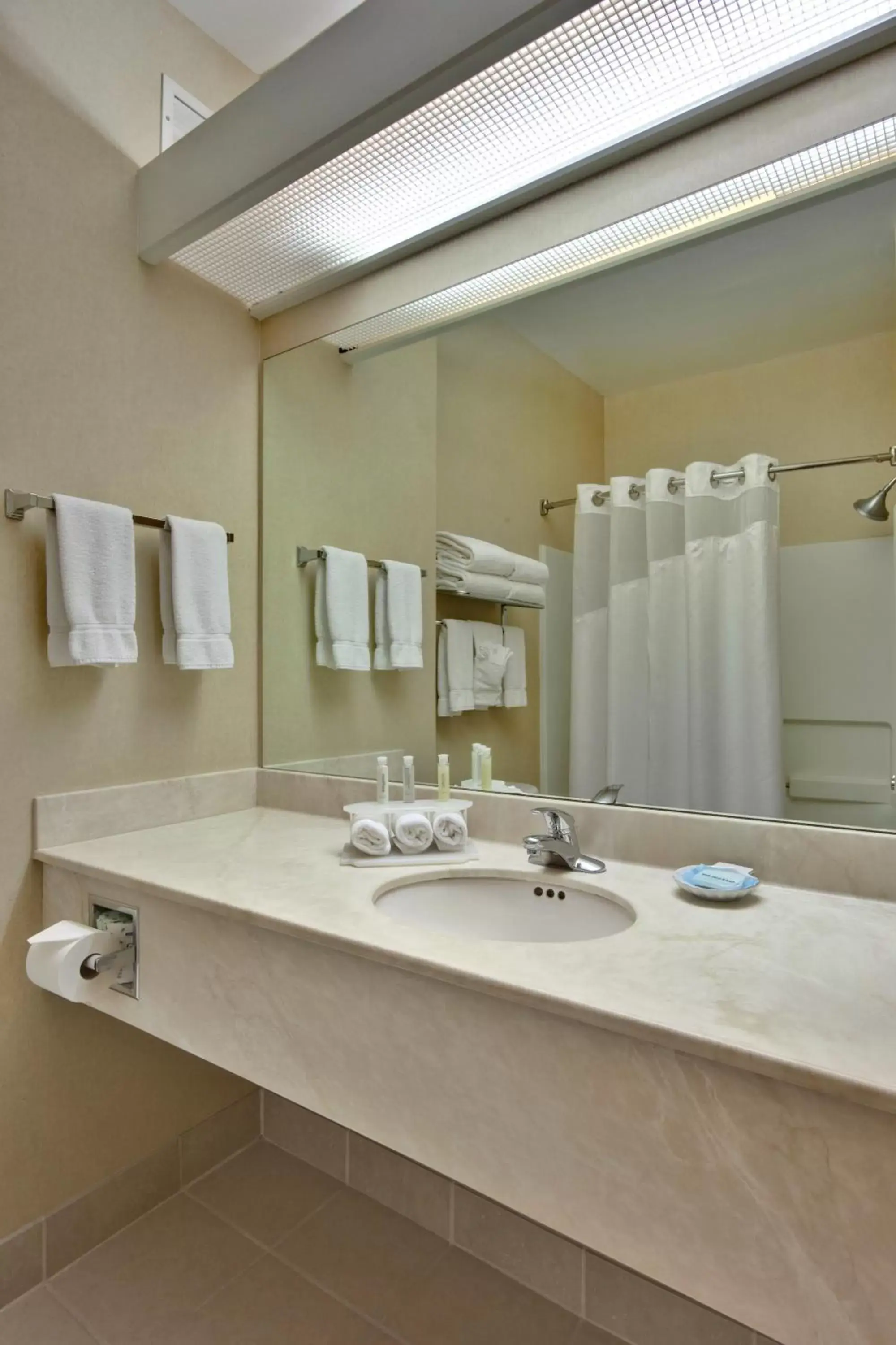 Bathroom in Holiday Inn Express Hotel and Suites - Henderson, an IHG Hotel