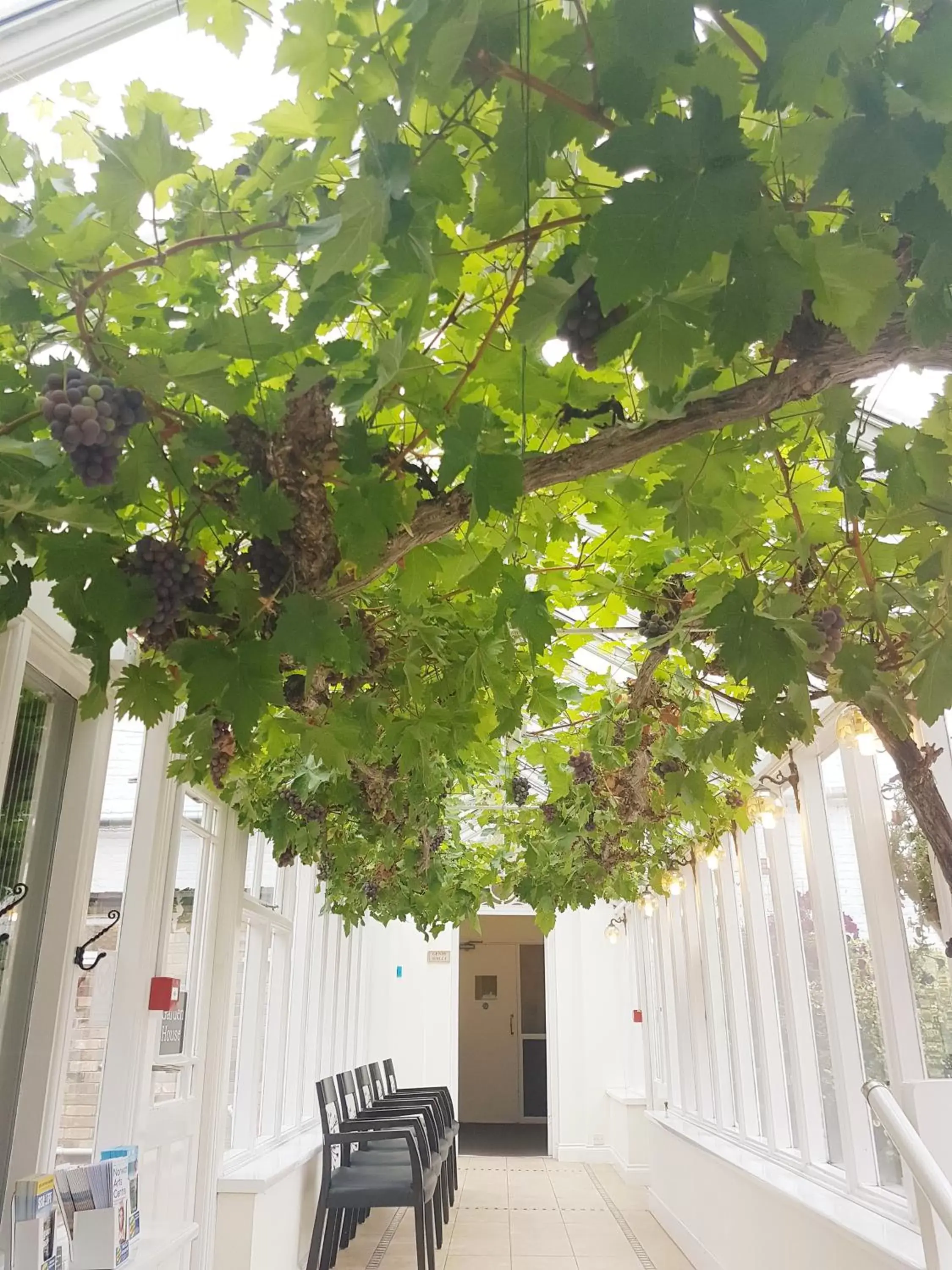 Property building in Best Western Annesley House Hotel Property building in Best Western Annesley House Hotel