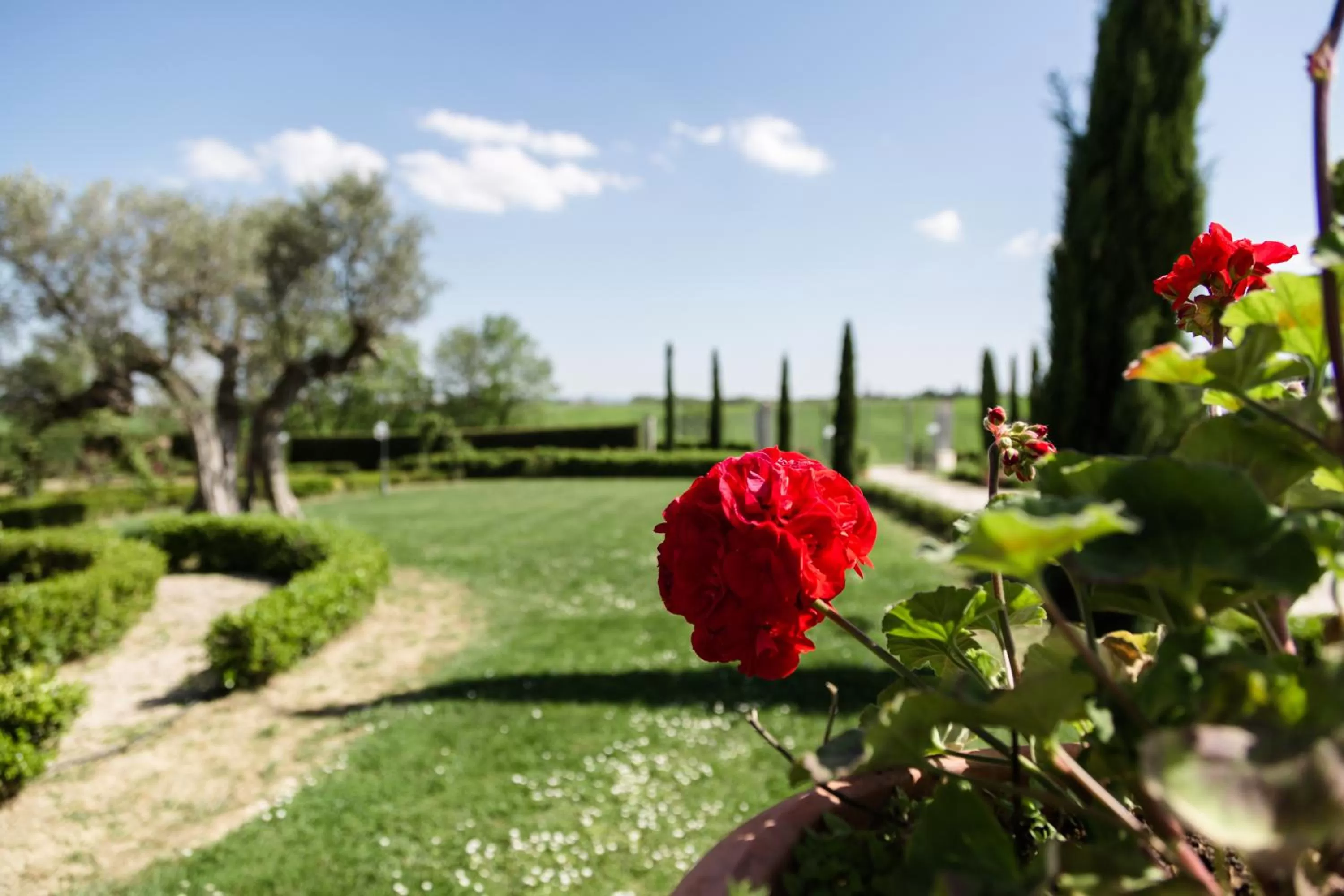 Garden in Podere San Giuseppe