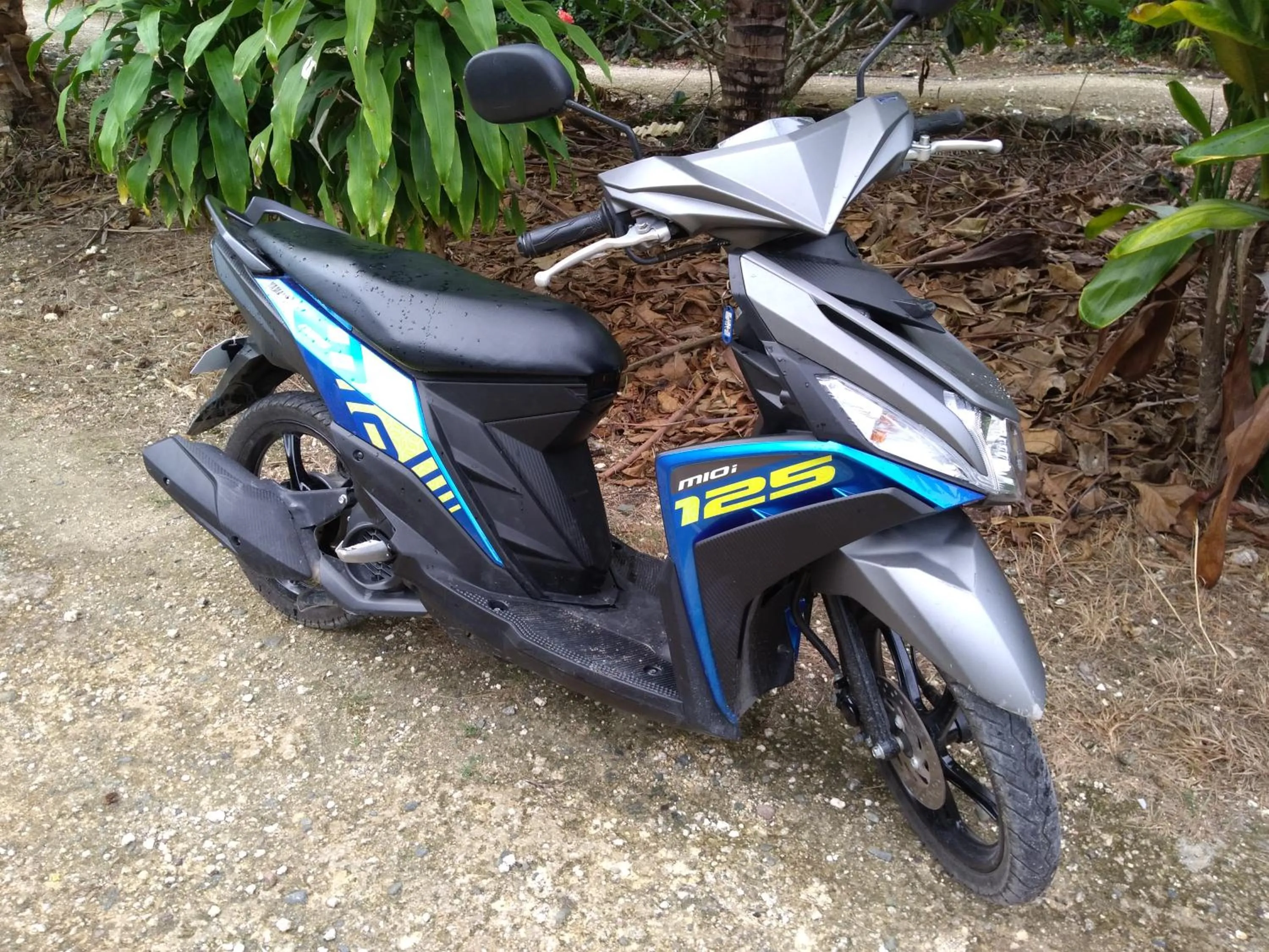 Activities in Mangoes Place