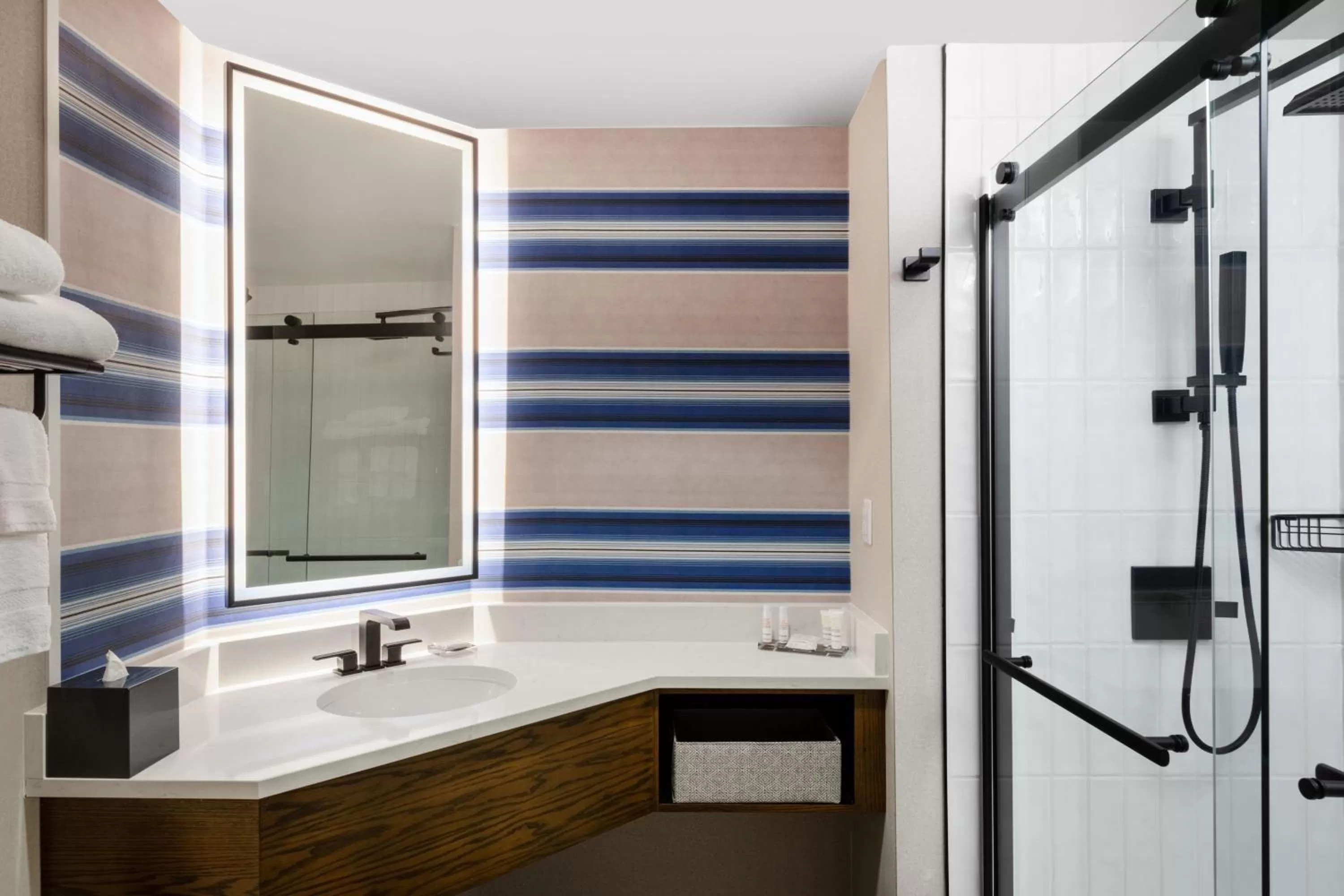 Bathroom in Austin Marriott South