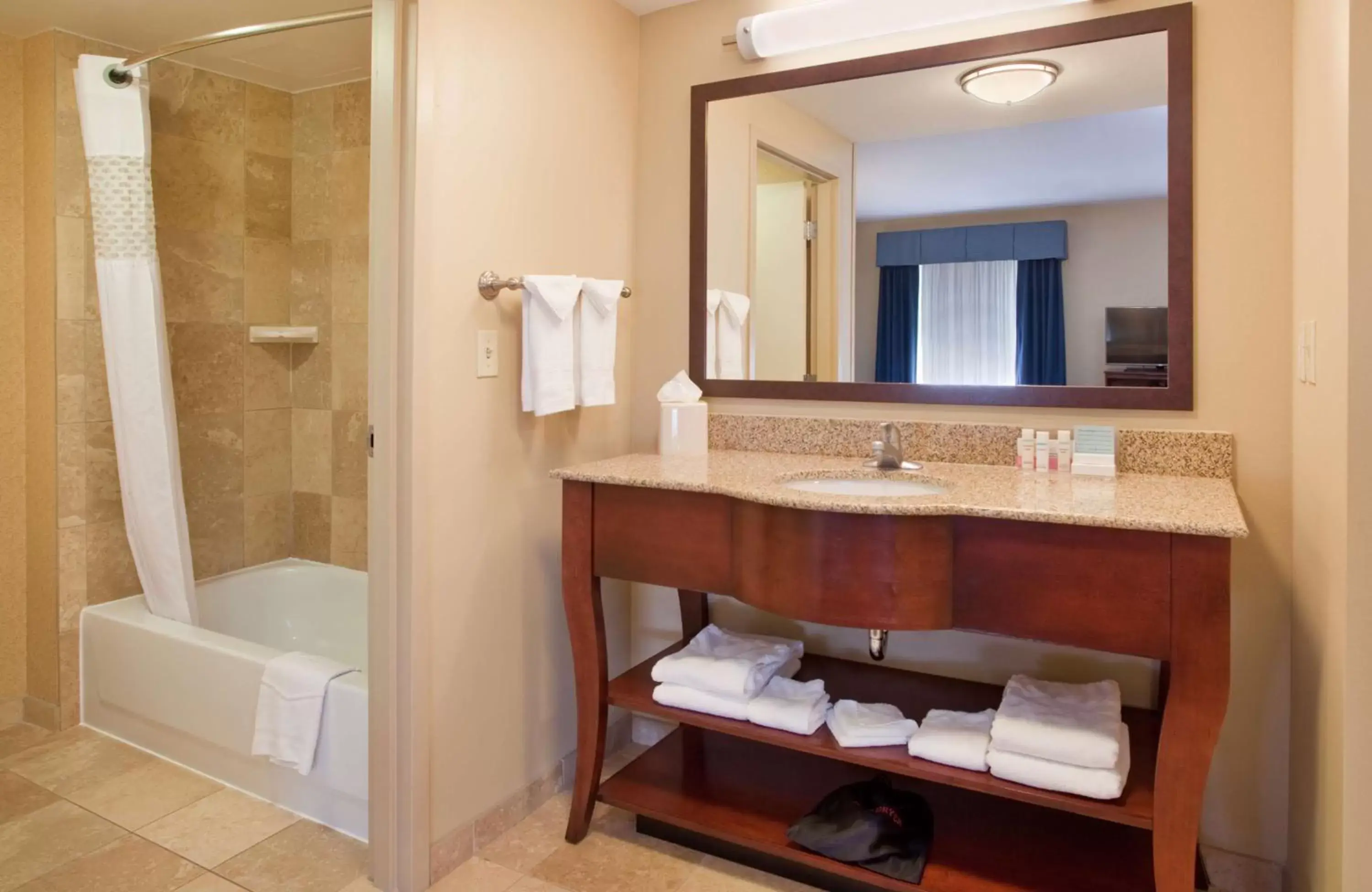 Bathroom in Hampton Inn & Suites Omaha Southwest-La Vista