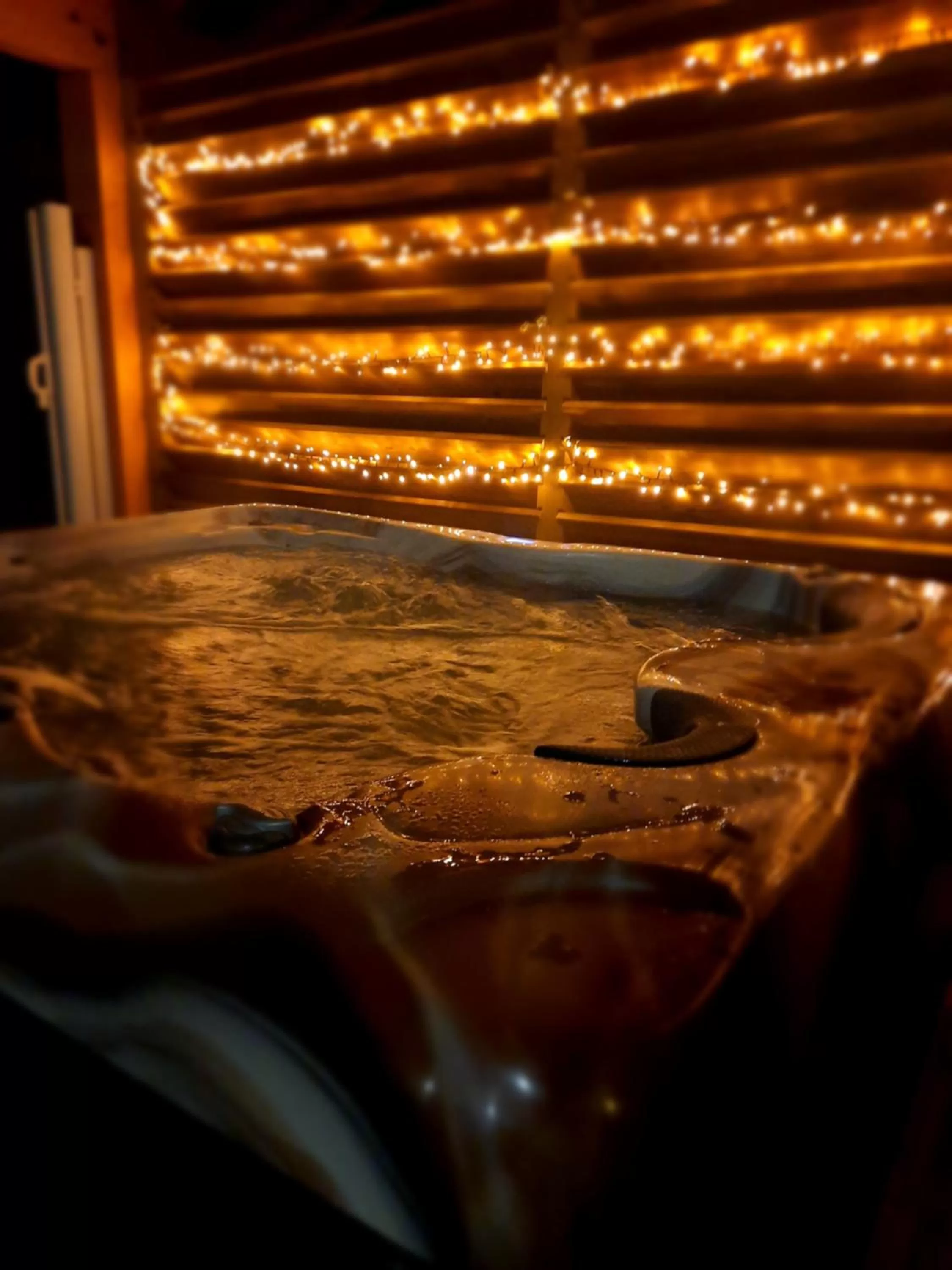 Spa and wellness centre/facilities in Au Cœur des Lacs - Chambres d'hôtes