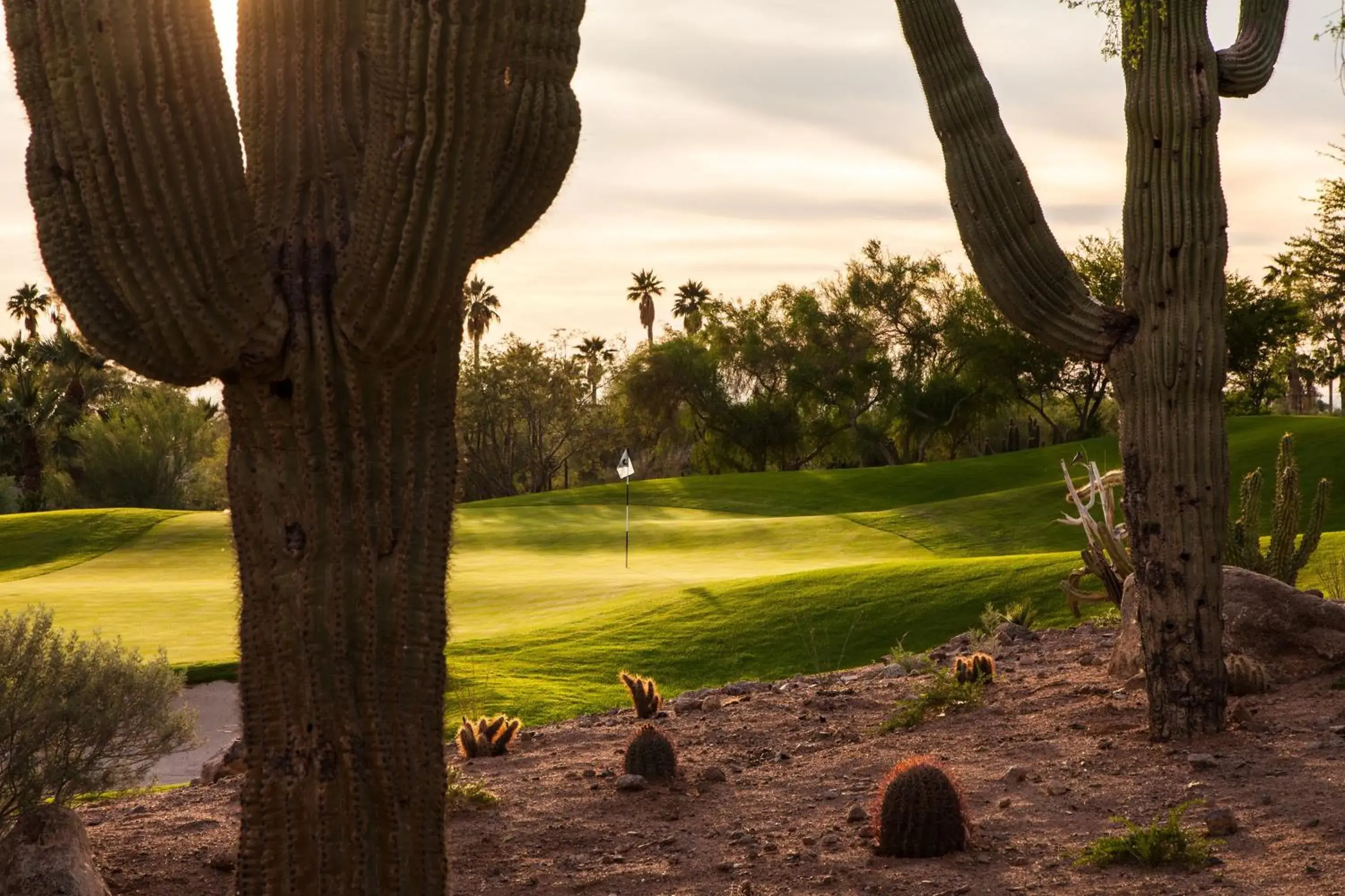 Golfcourse in The Canyon Suites At The Phoenician, A Luxury Collection Resort