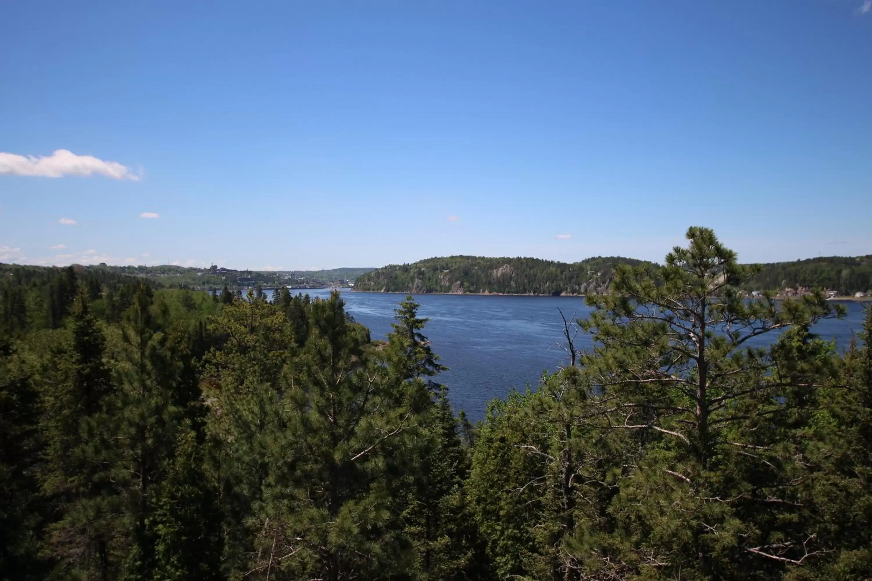 Natural landscape in Gîte du Haut des Arbres