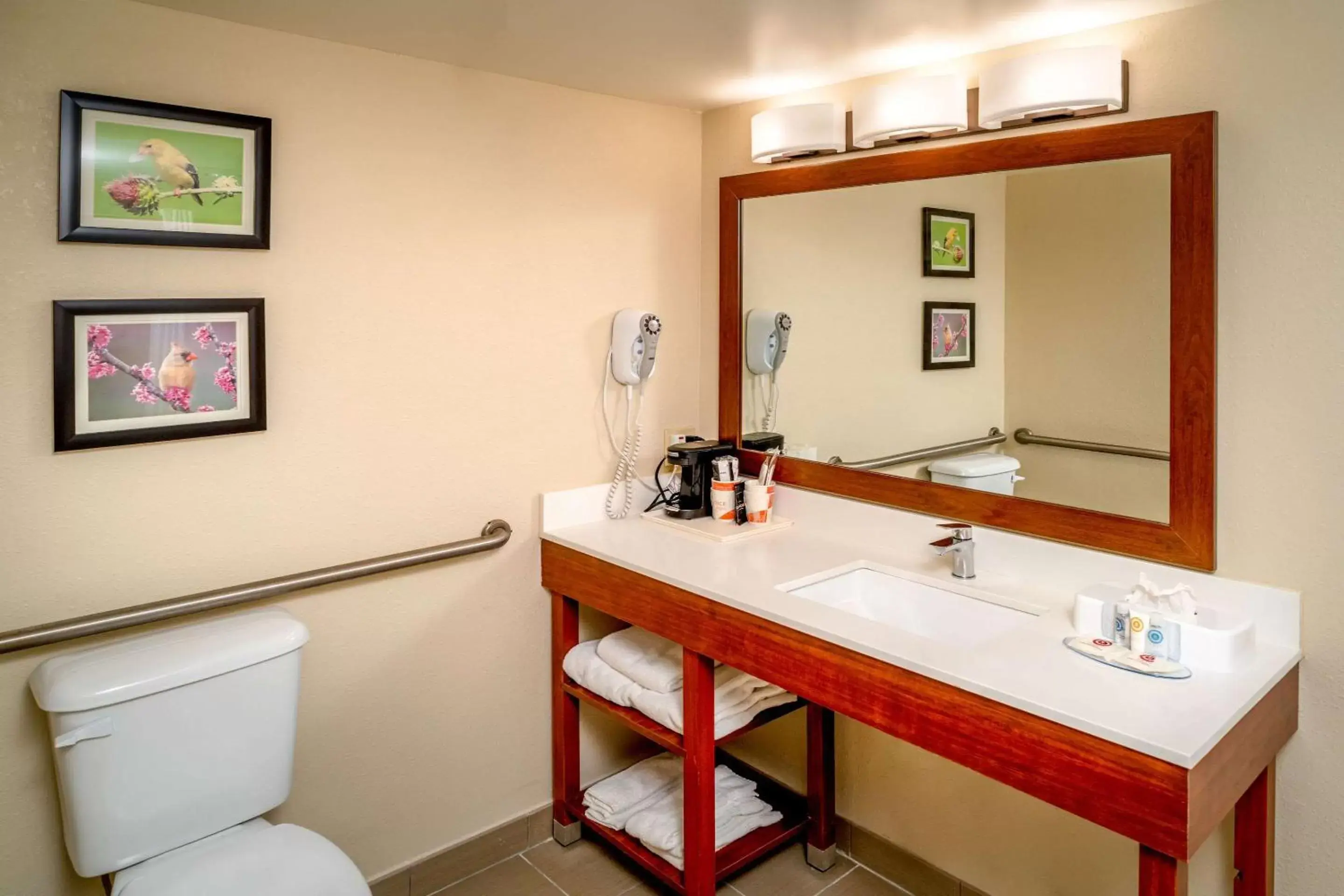 Photo of the whole room, Bathroom in Comfort Inn & Suites Grundy