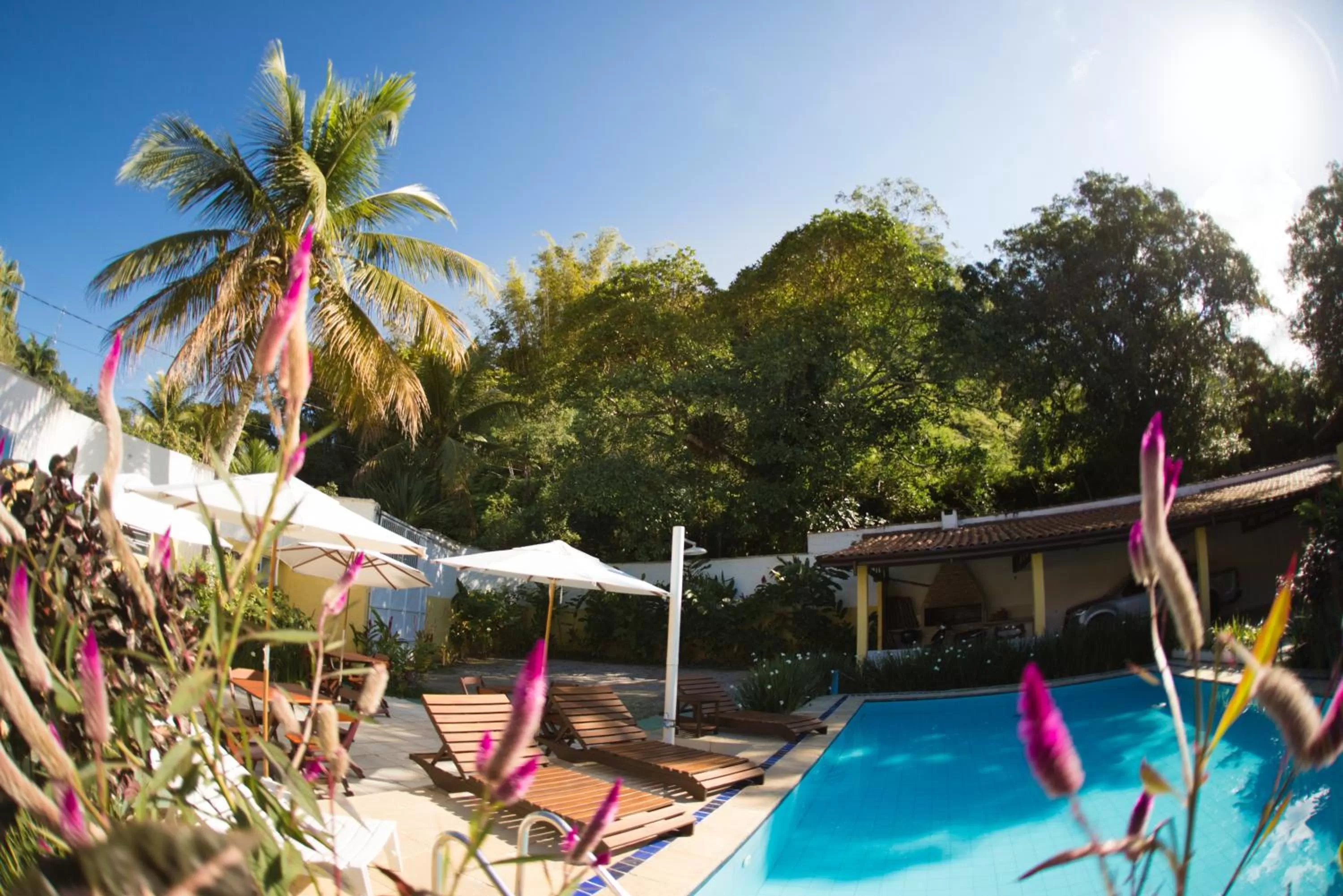 Garden in Pousada Viva Ubatuba