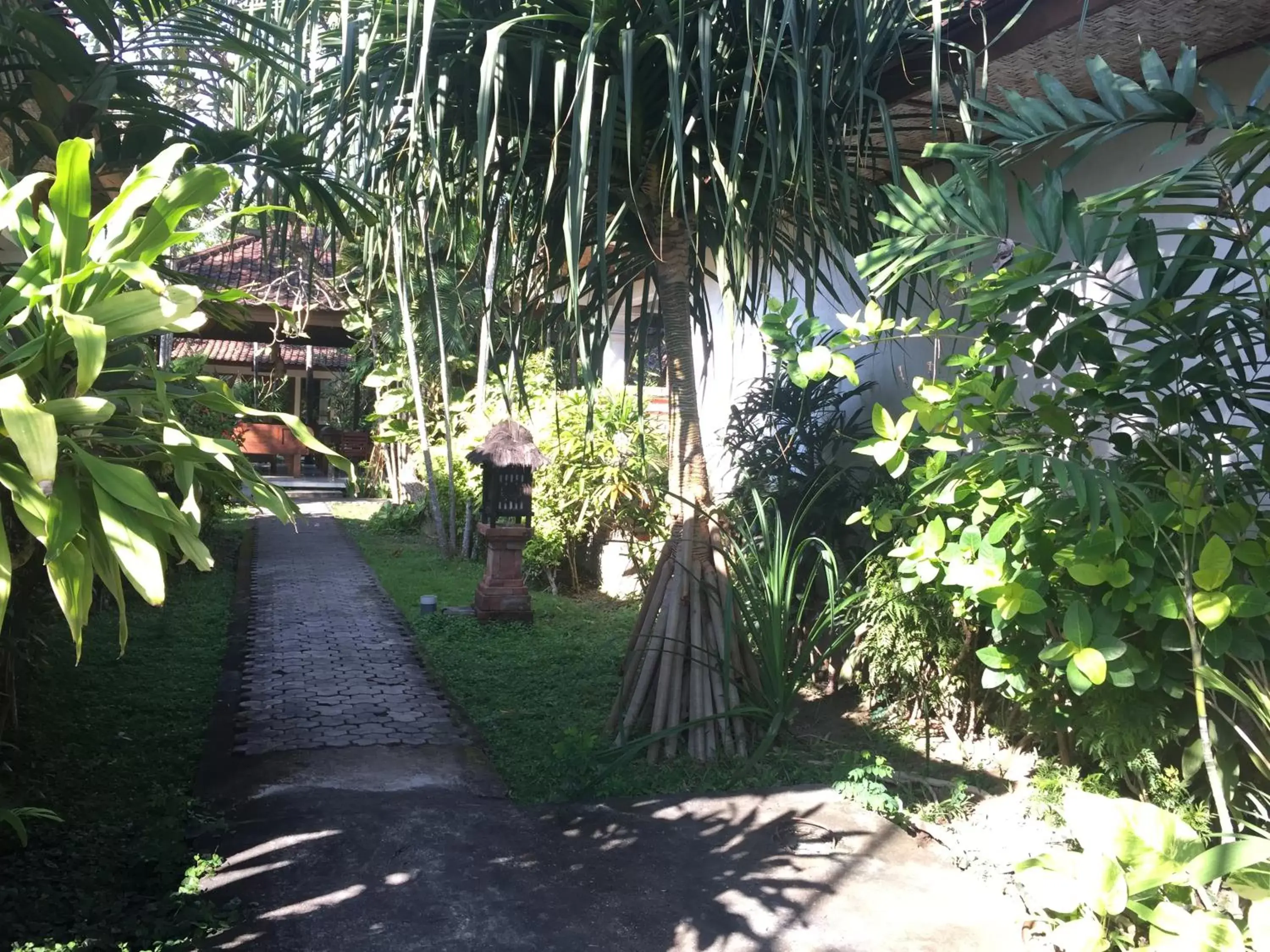 Natural landscape, Garden in Bumi Ayu Bungalow Sanur