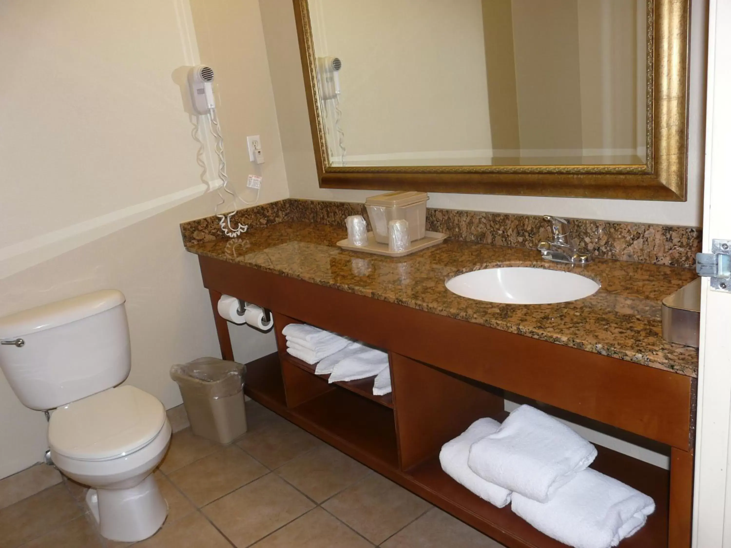 Bathroom in Comfort Inn Fort Myers Northeast
