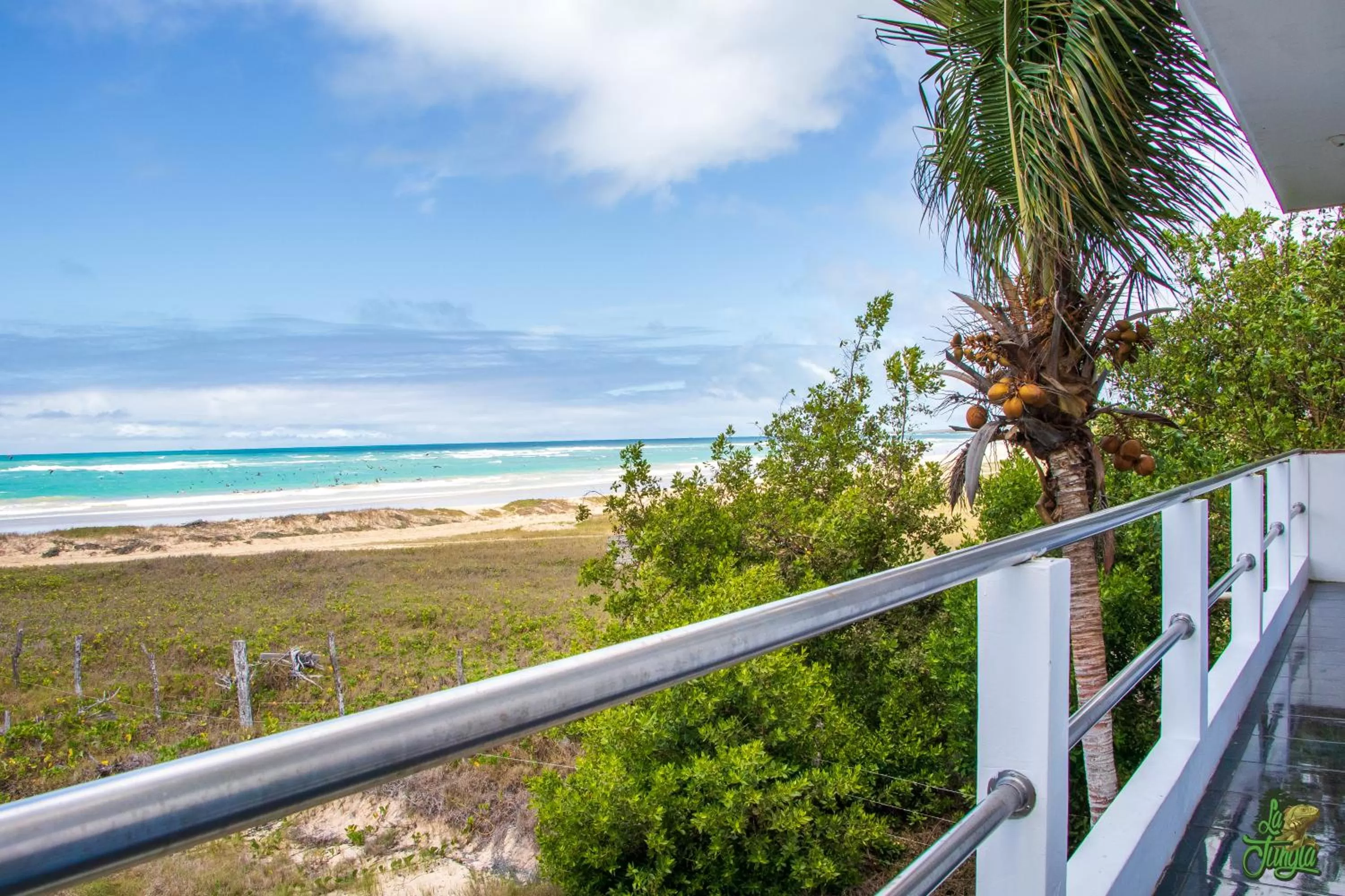 View (from property/room) in Hotel La Jungla