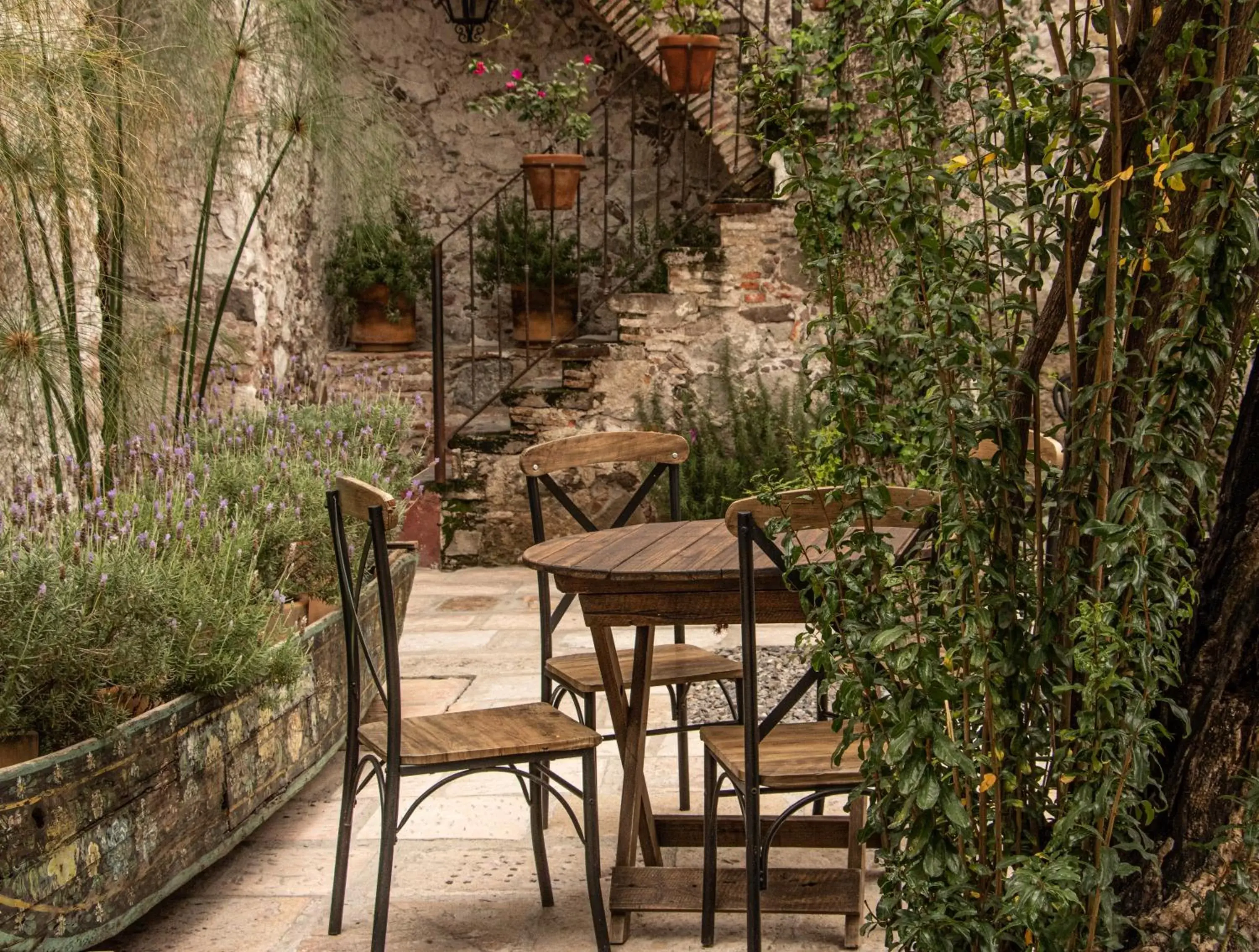 Patio in Orchid House San Miguel de Allende